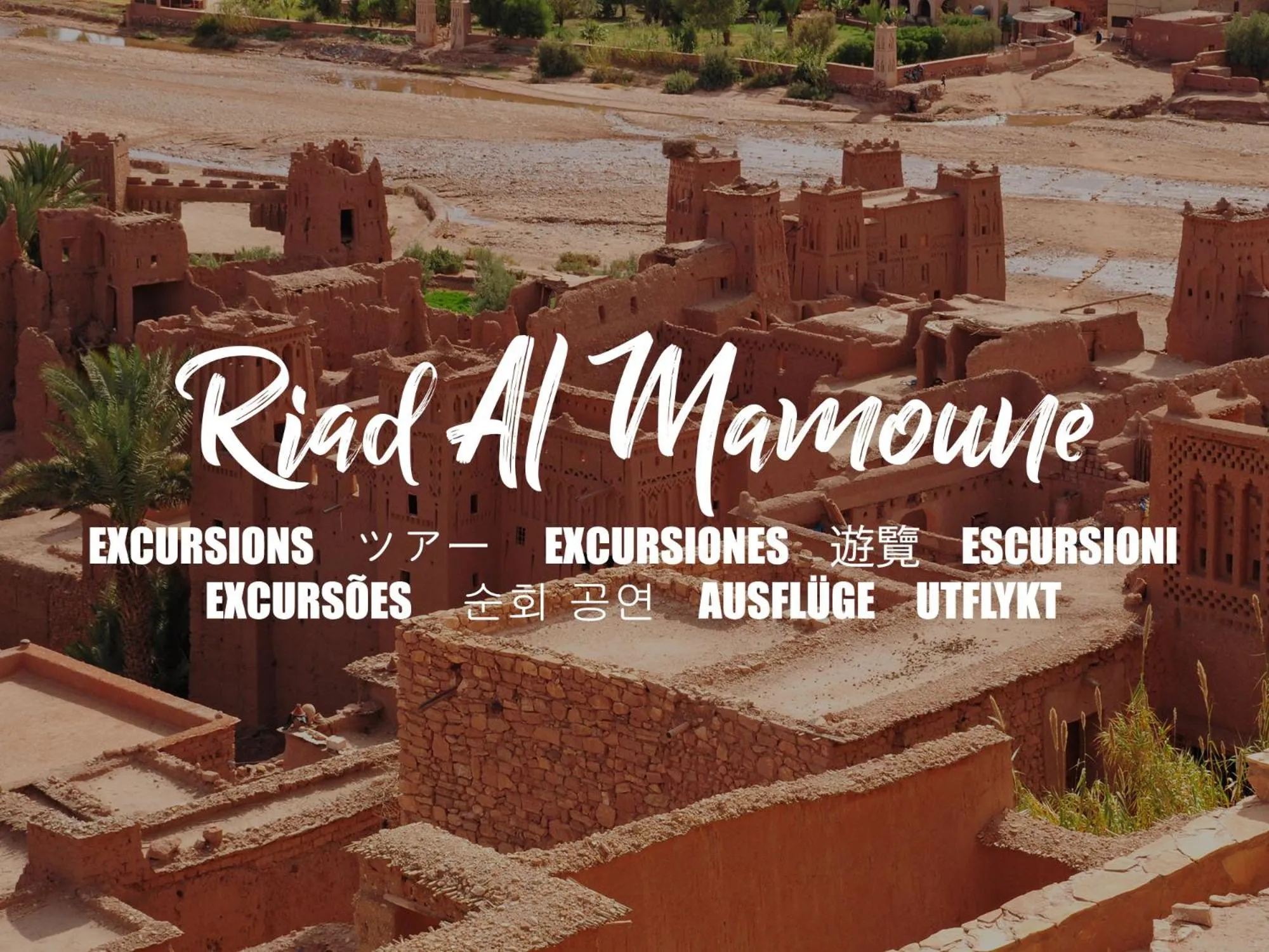 Activities in Riad Al Mamoune