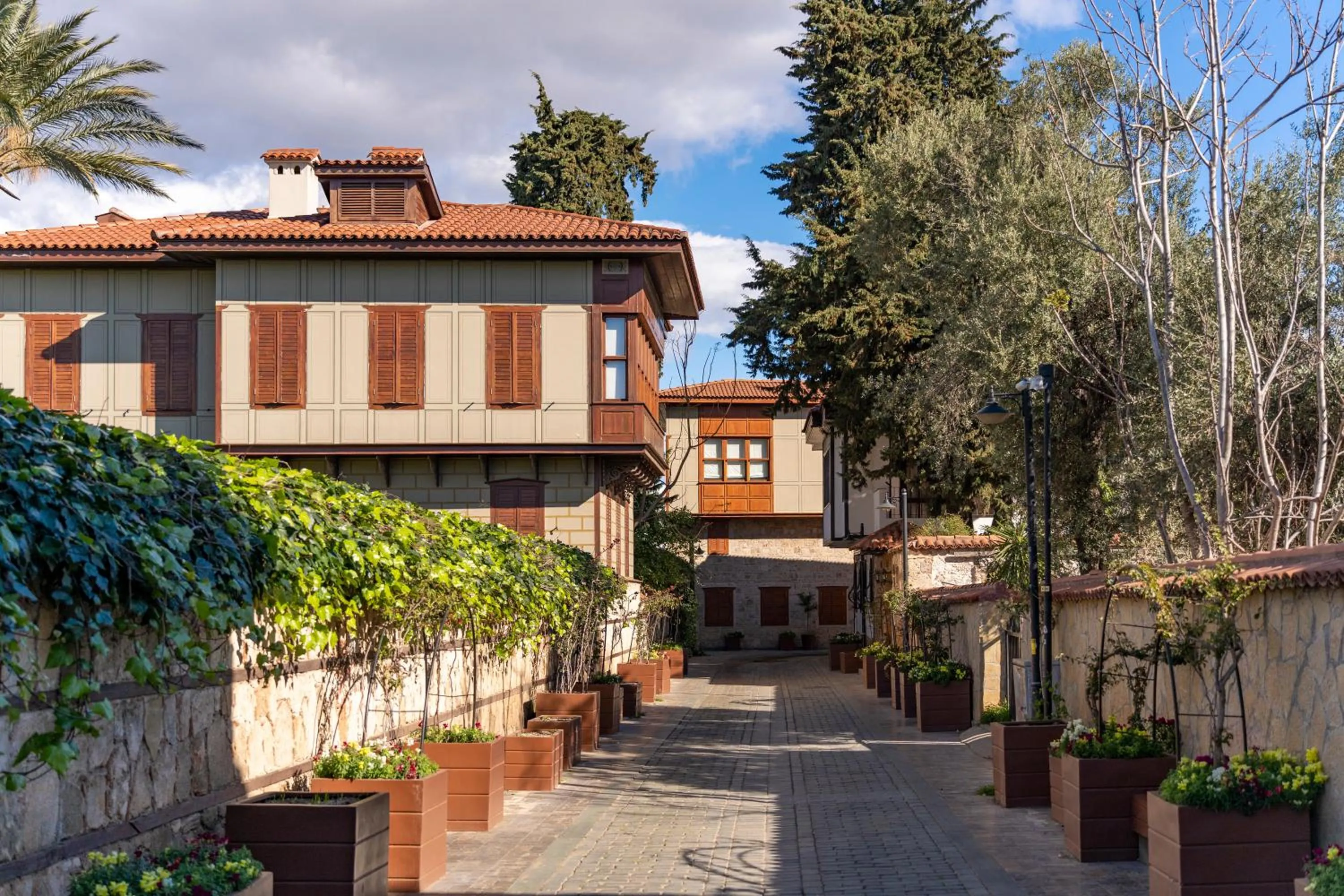 Natural landscape in OLSEN HOTELS