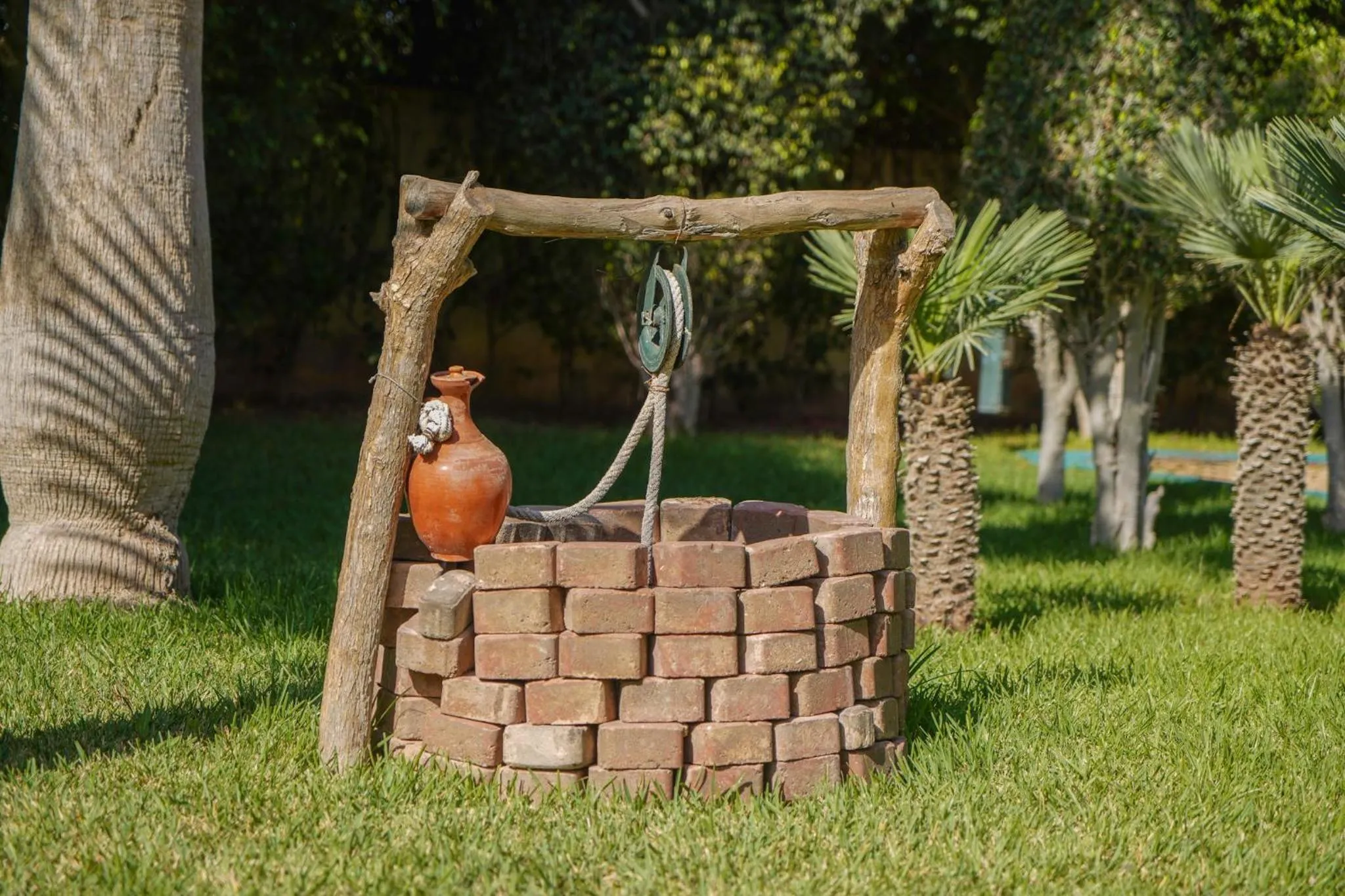 Garden in Odyssee Park Hotel
