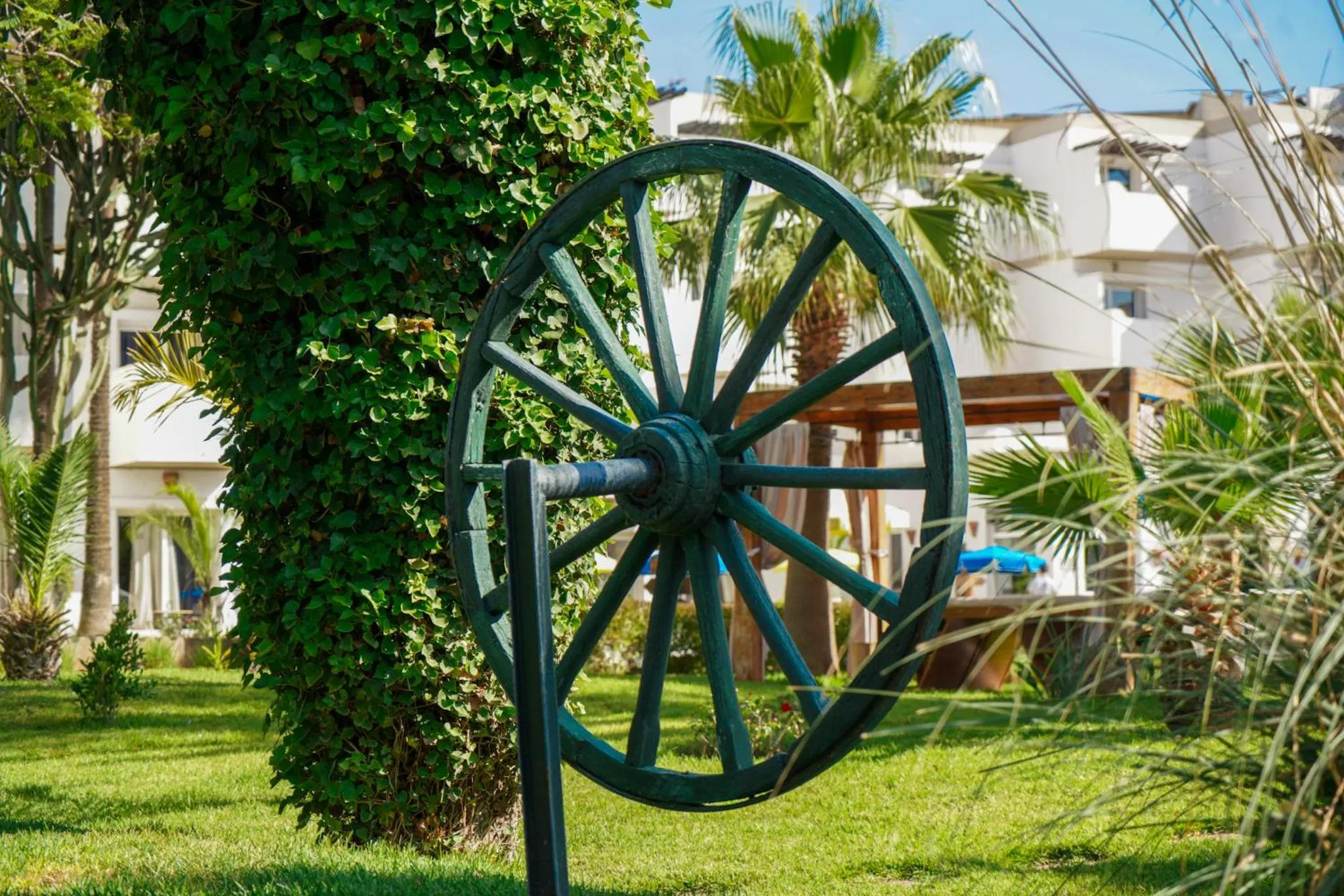 Garden in Odyssee Park Hotel