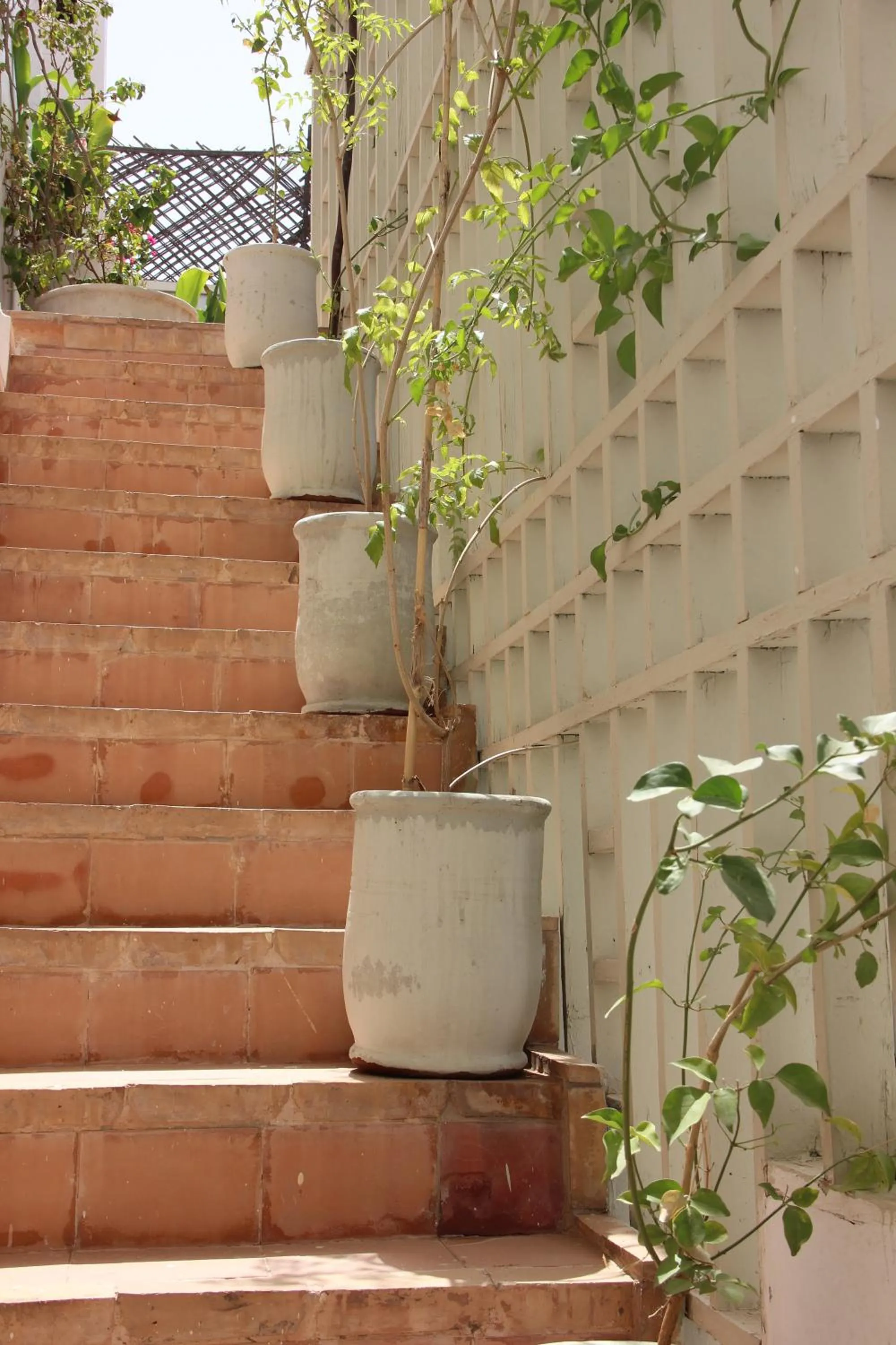 Patio in Riad Dar Nael