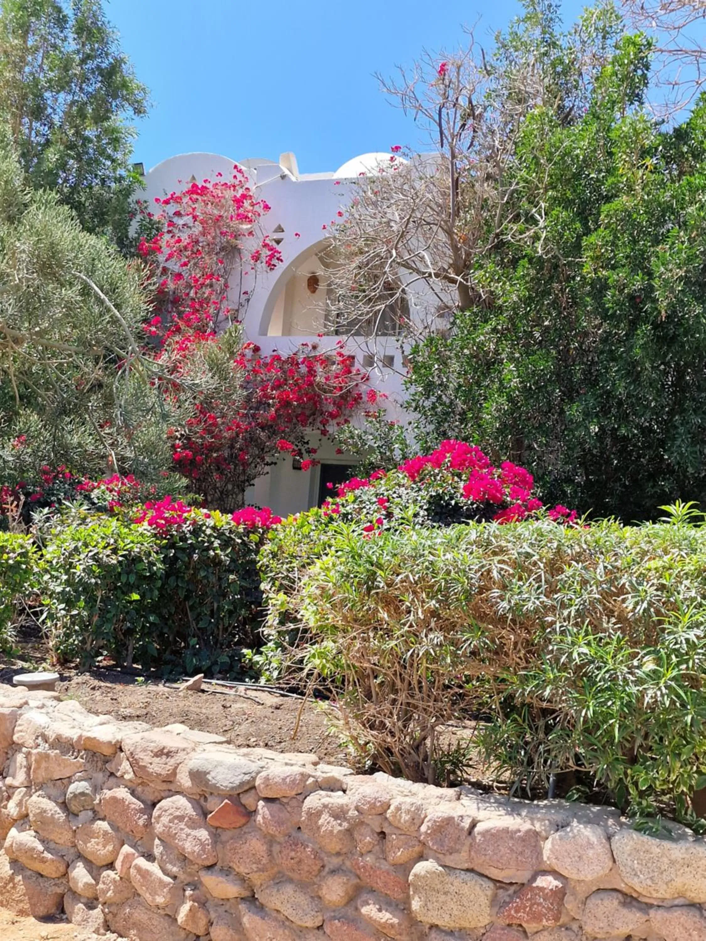 DOMINA CORAL BAY HAREM