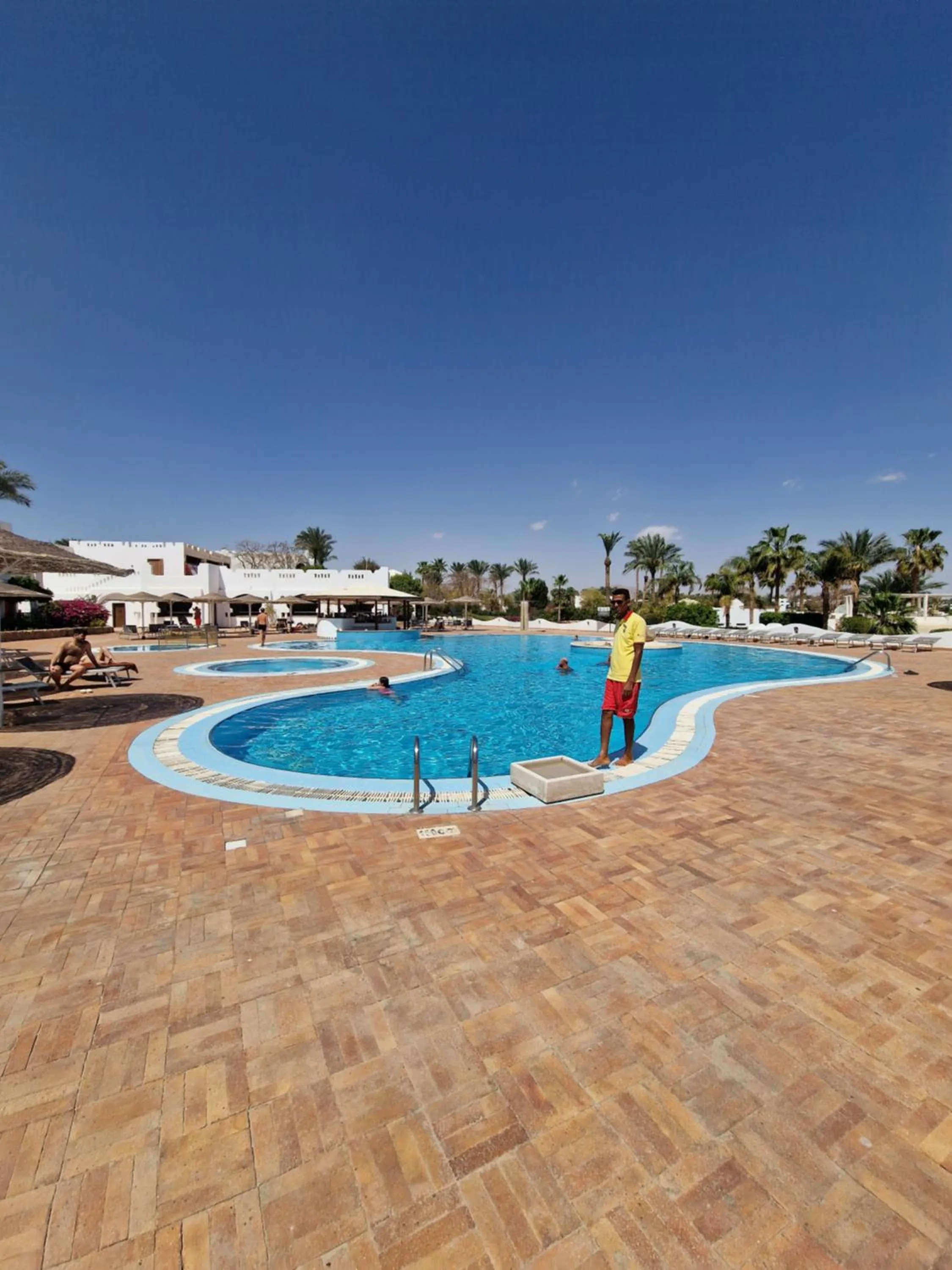 DOMINA CORAL BAY HAREM