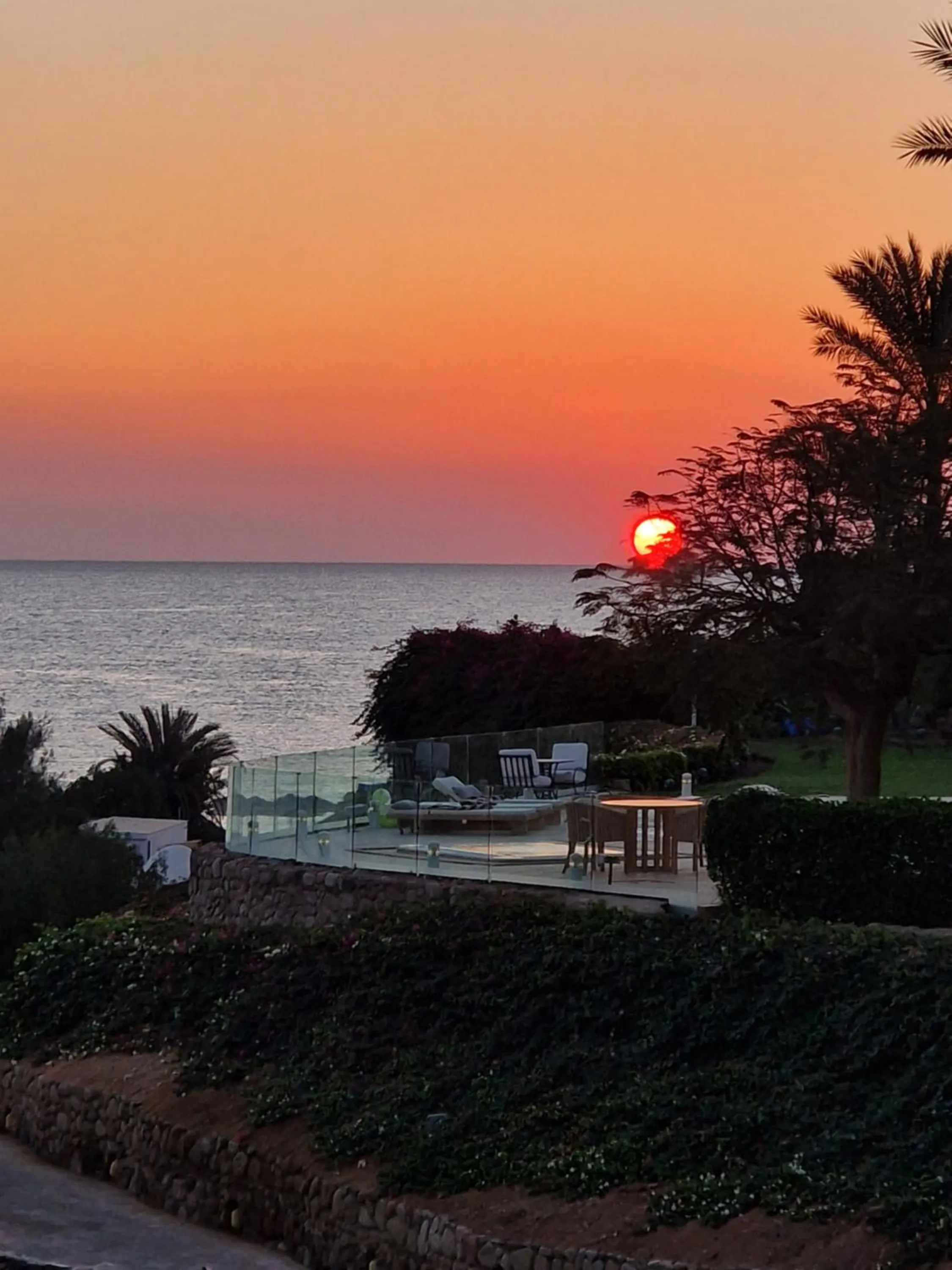 DOMINA CORAL BAY HAREM