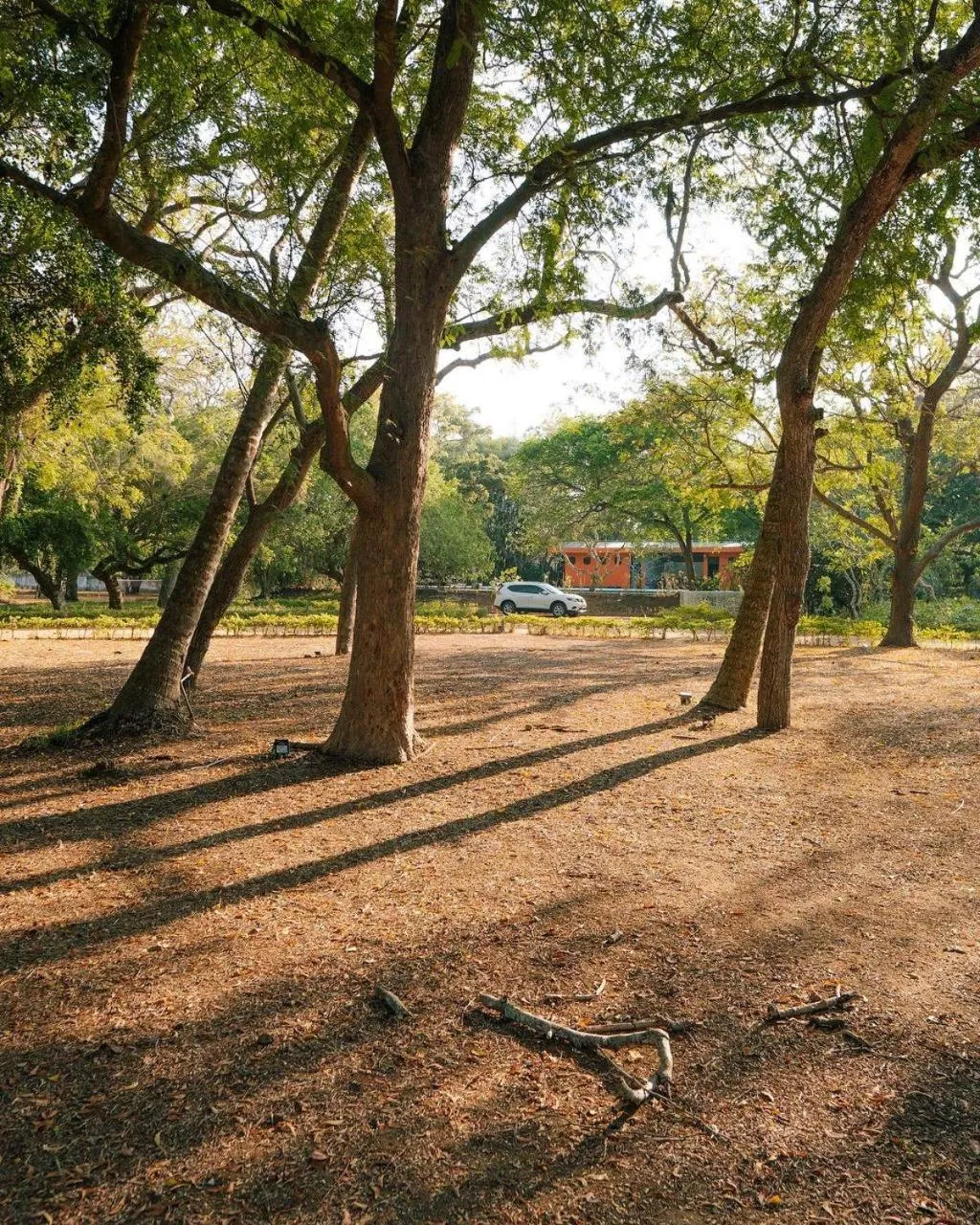 Property building in Peacock Beach Resort and Spa