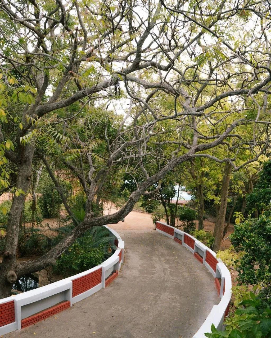 Property building in Peacock Beach Resort and Spa