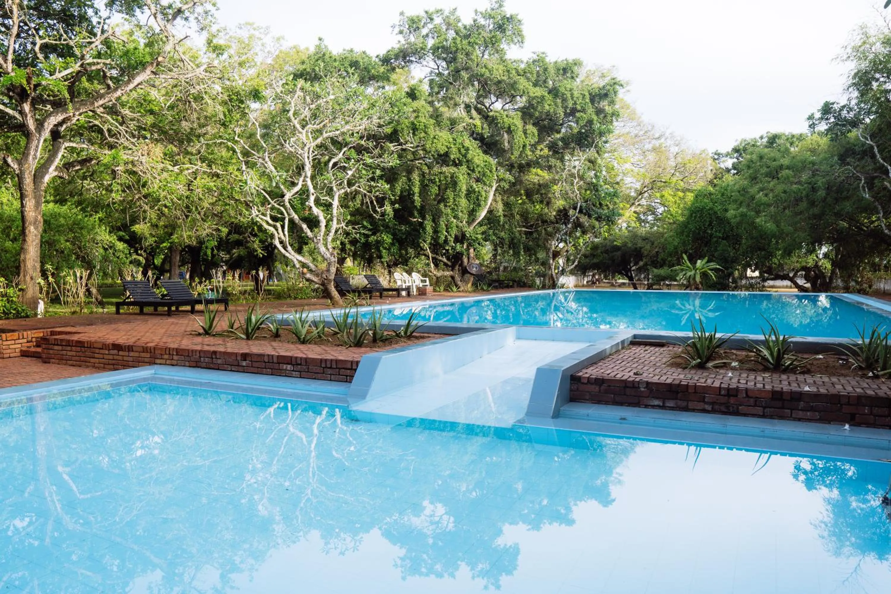 Swimming pool in Peacock Beach Resort and Spa