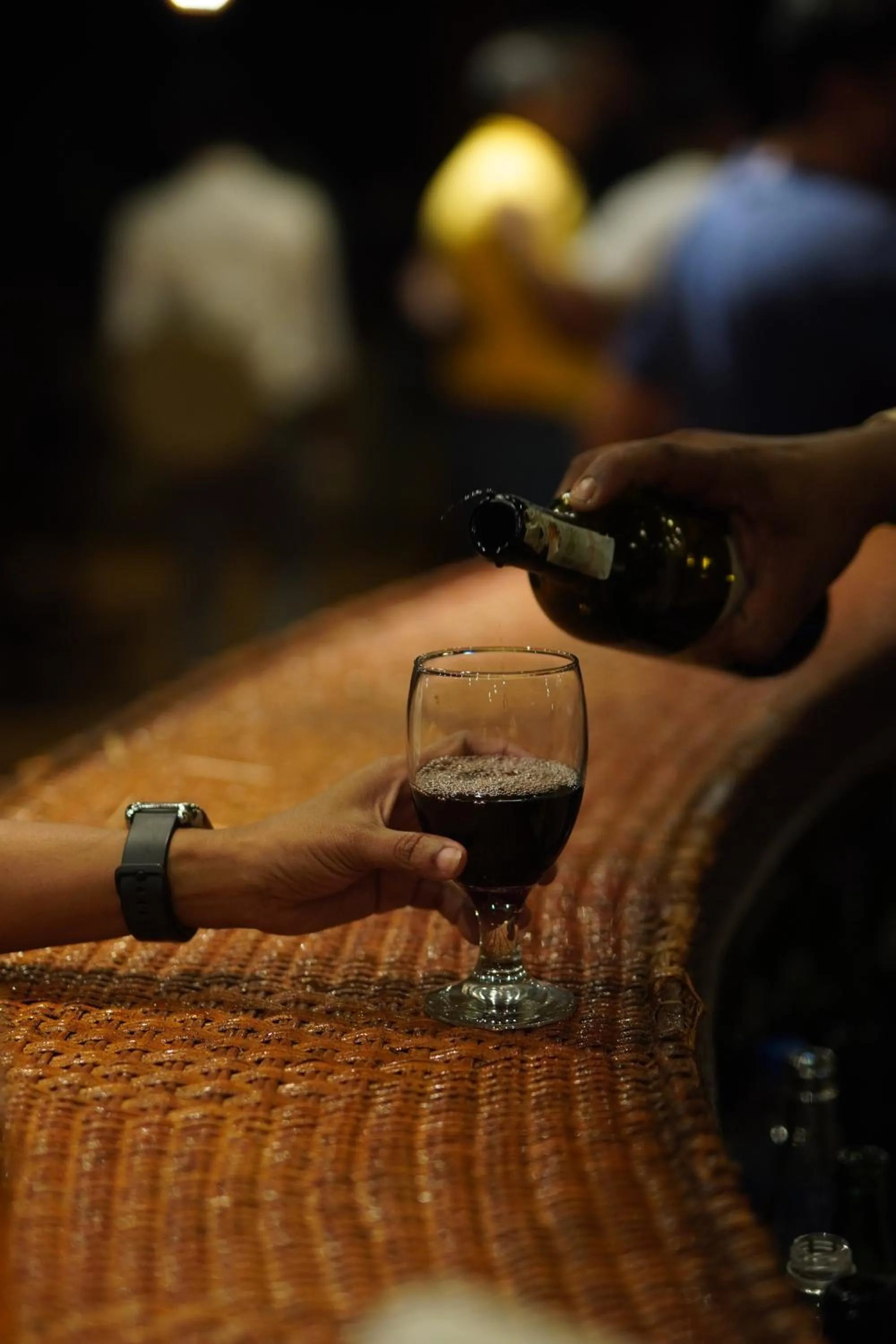 Lounge or bar in Peacock Beach Resort and Spa