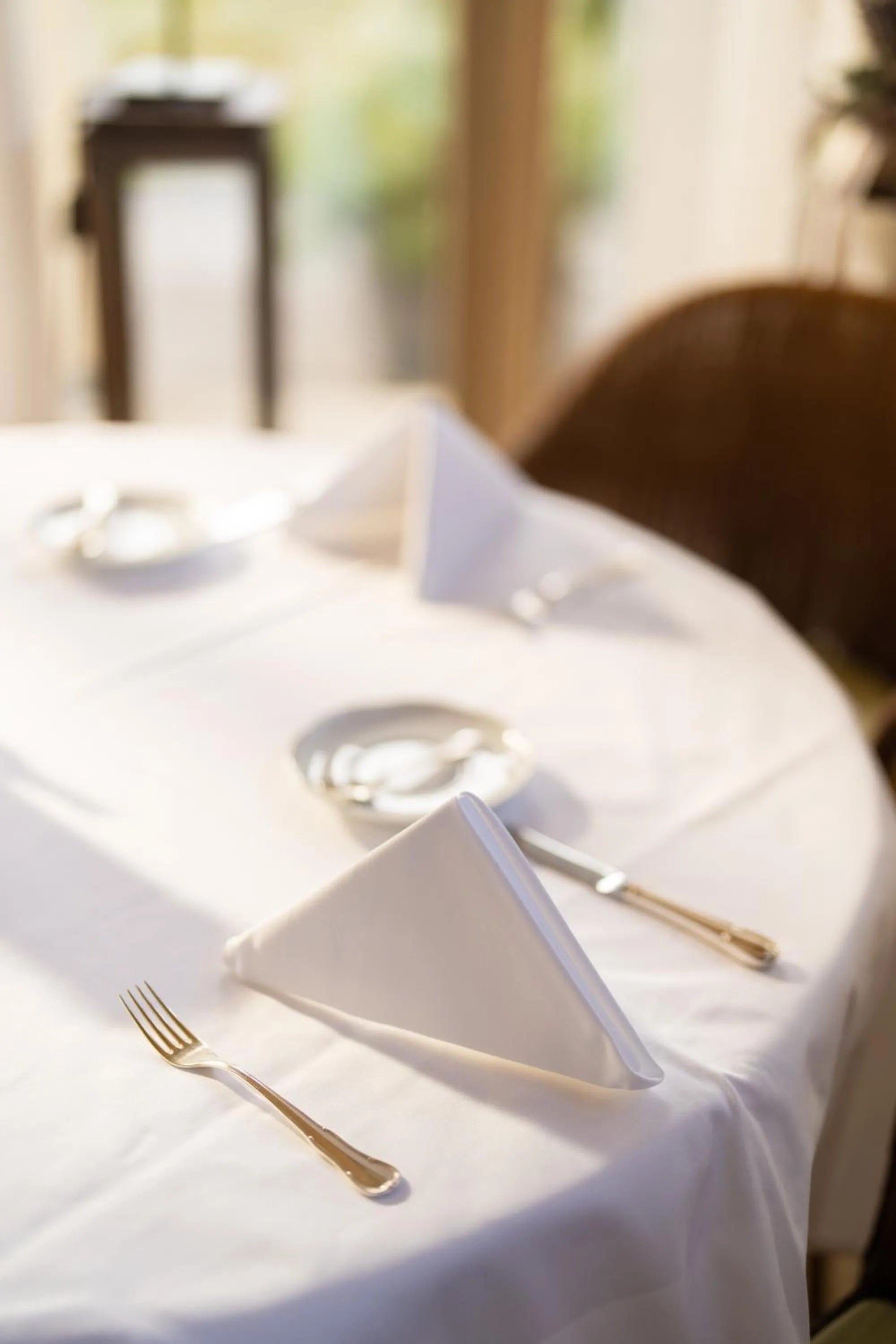 Restaurant/places to eat in Hotel Schatzmann