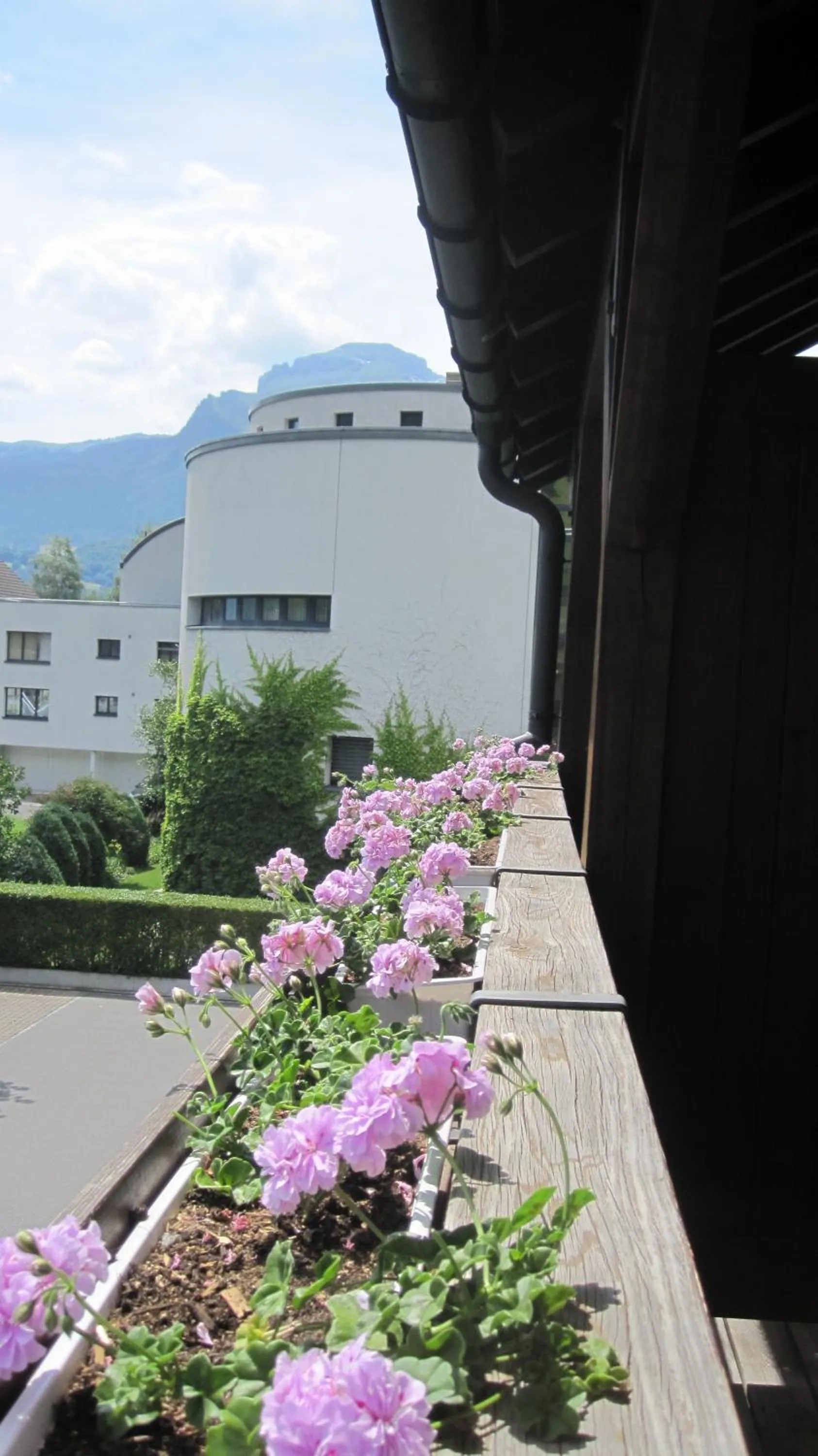 Balcony/Terrace in Hotel Schatzmann