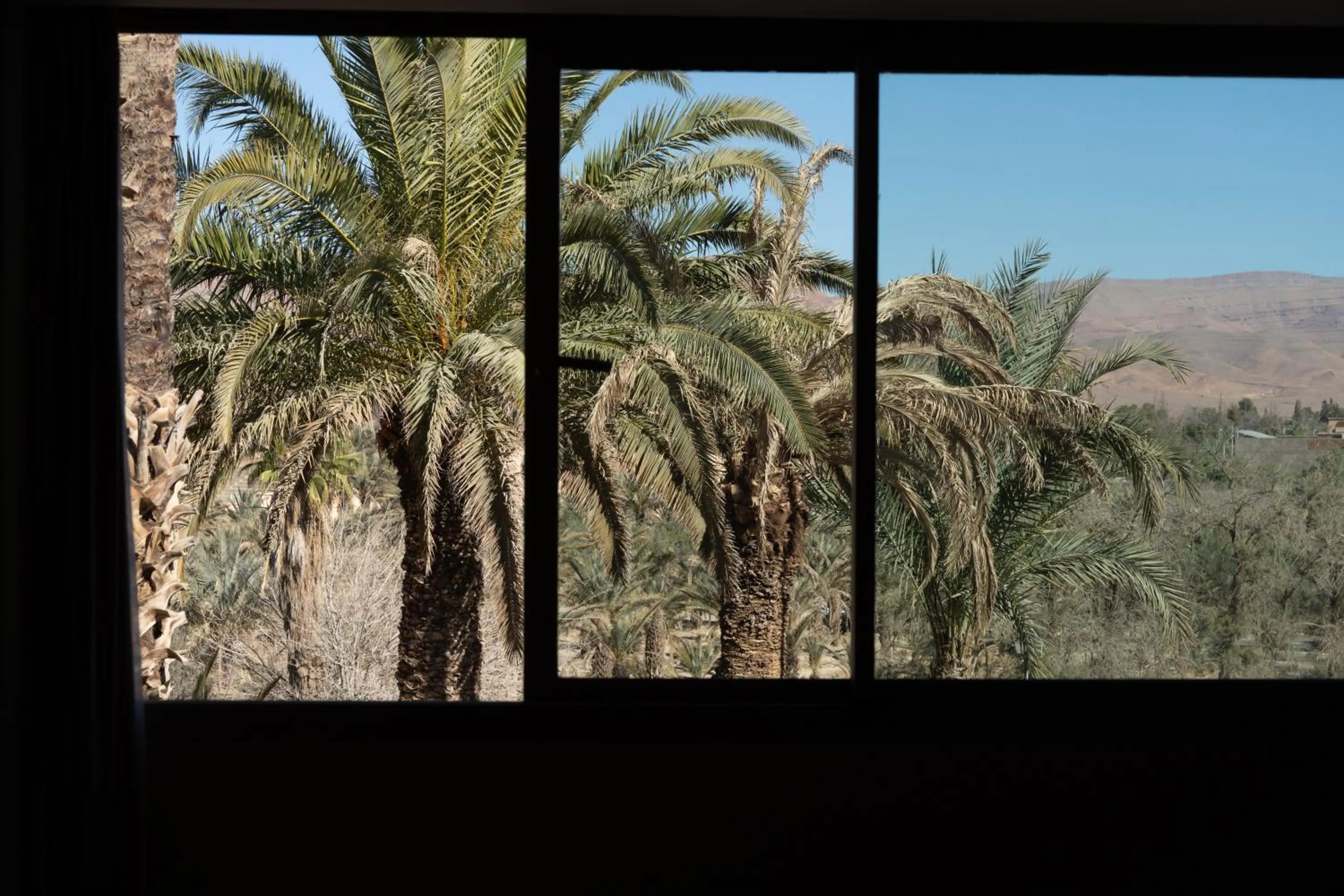 Natural landscape in Kenzi Rissani