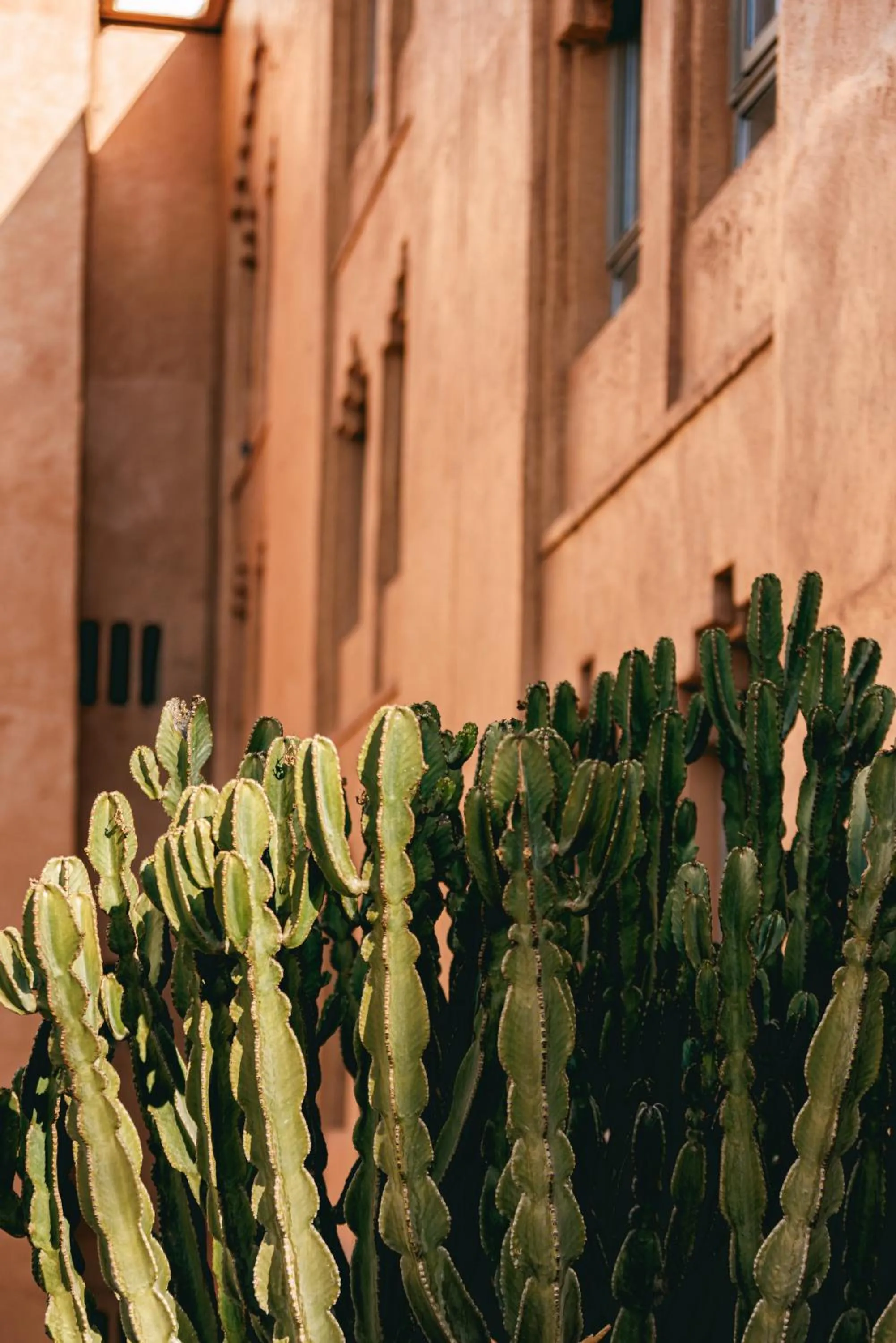 Garden in Kenzi Azghor