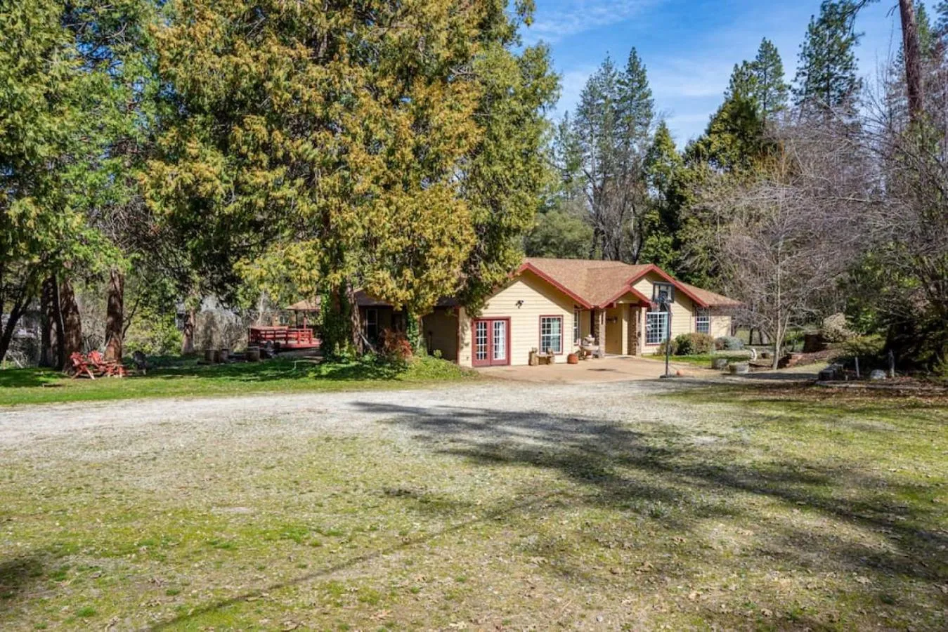 Forest Cabin by China Creek
