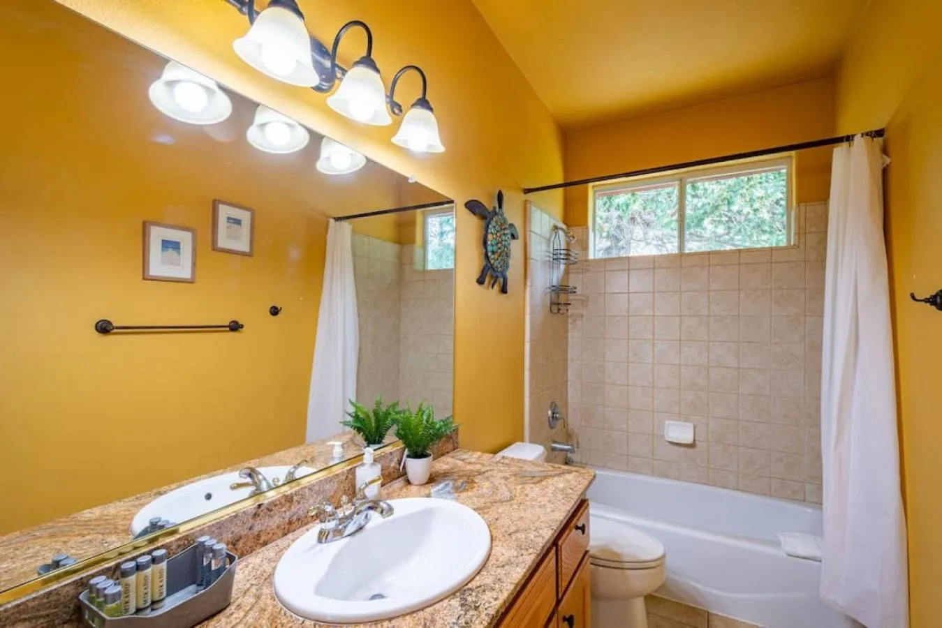 Forest Cabin by China Creek