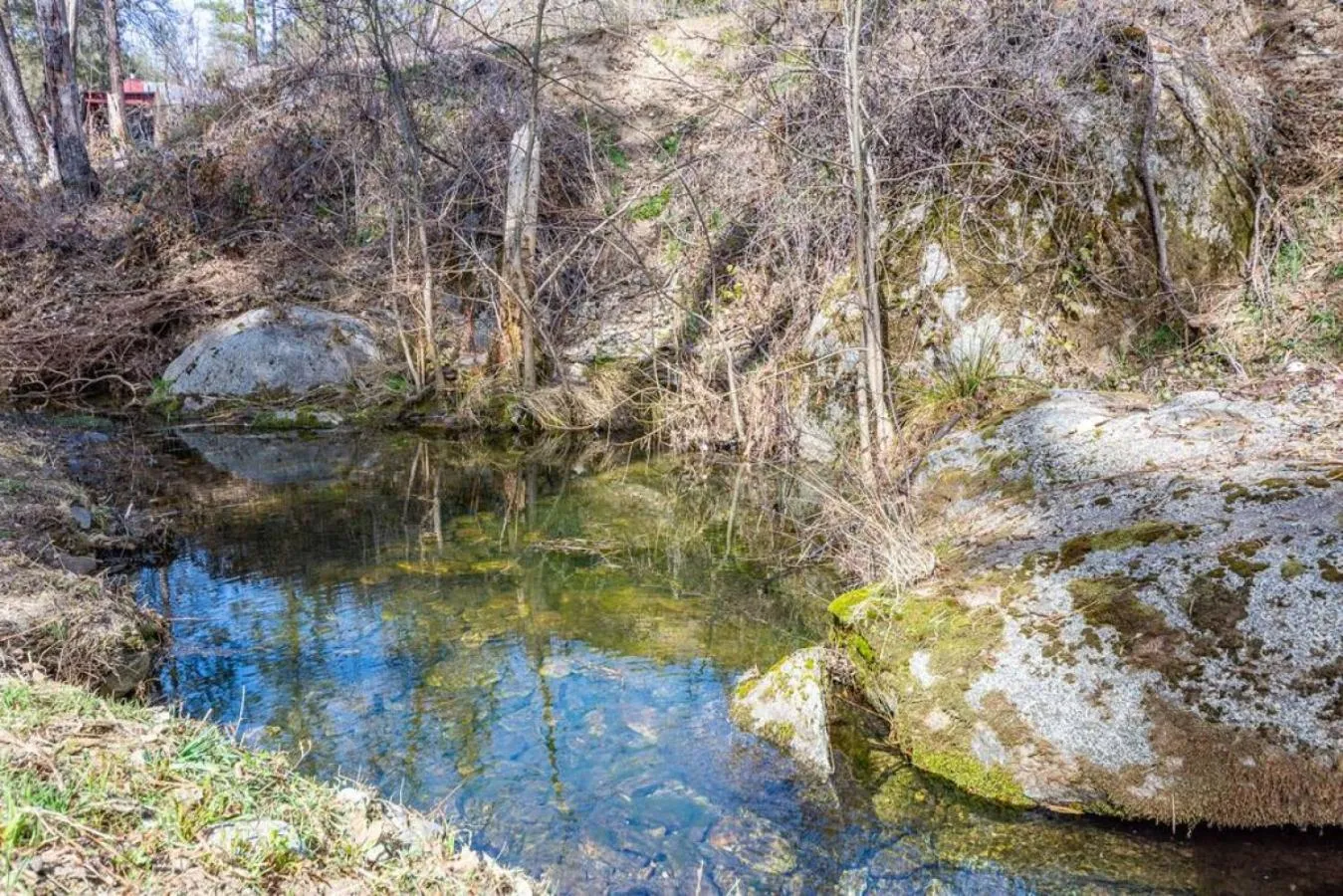 Forest Cabin by China Creek