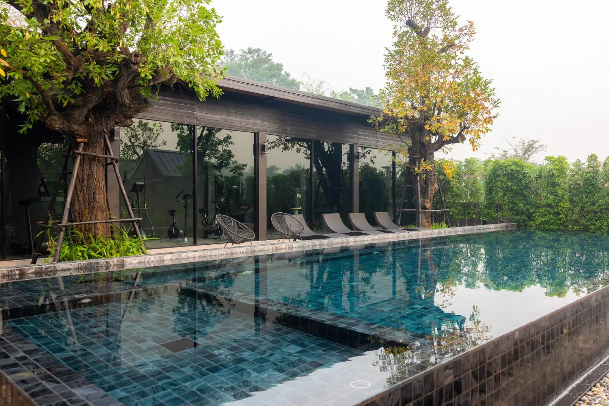 Day in The View Chiang Dao