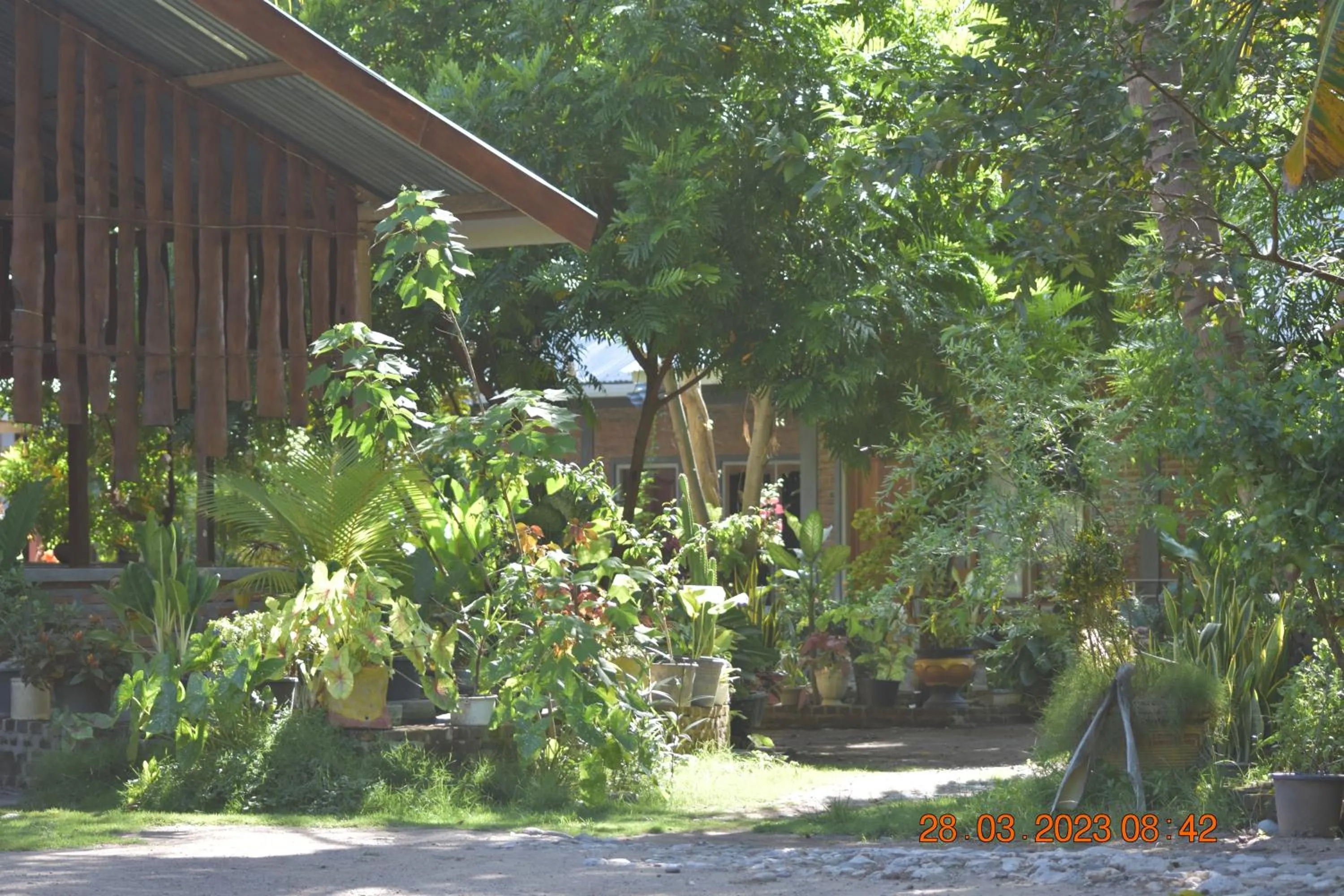 Spring in Del Mar Home Stay