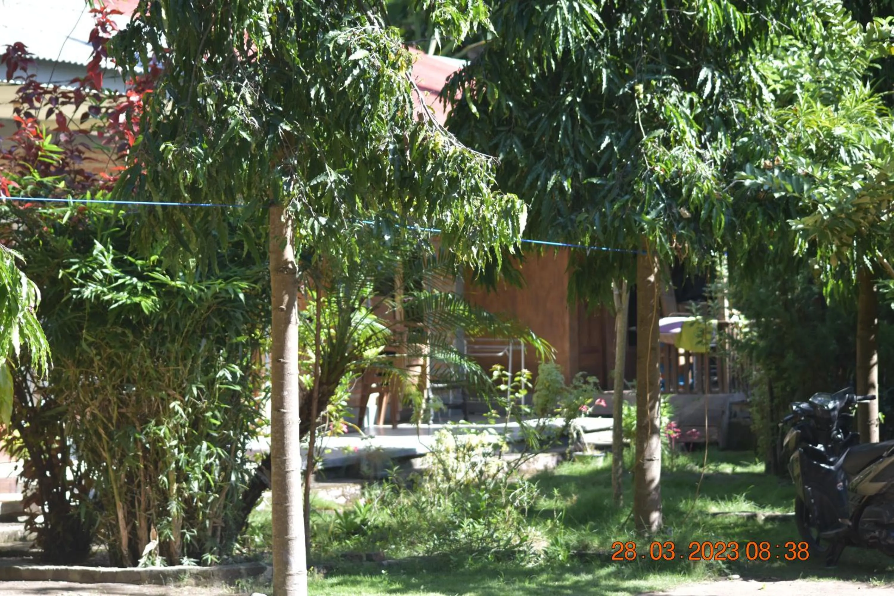 Garden in Del Mar Home Stay
