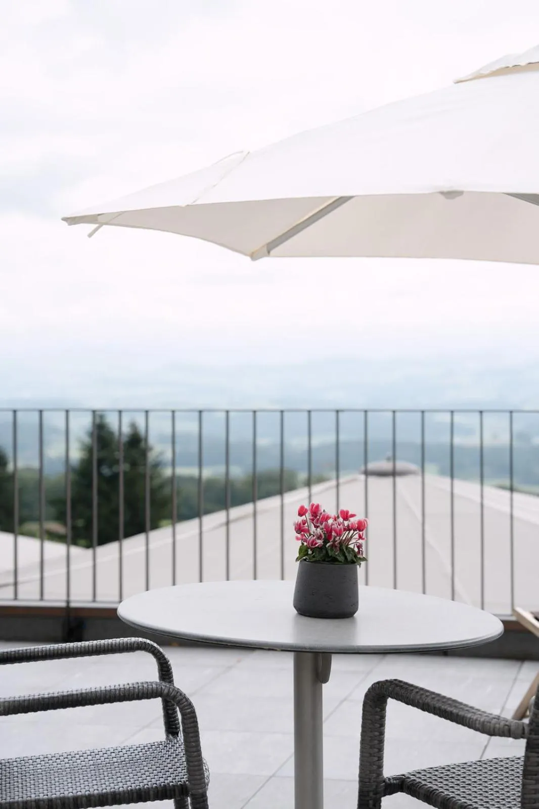 View (from property/room) in Hotel & Restaurant Nollen