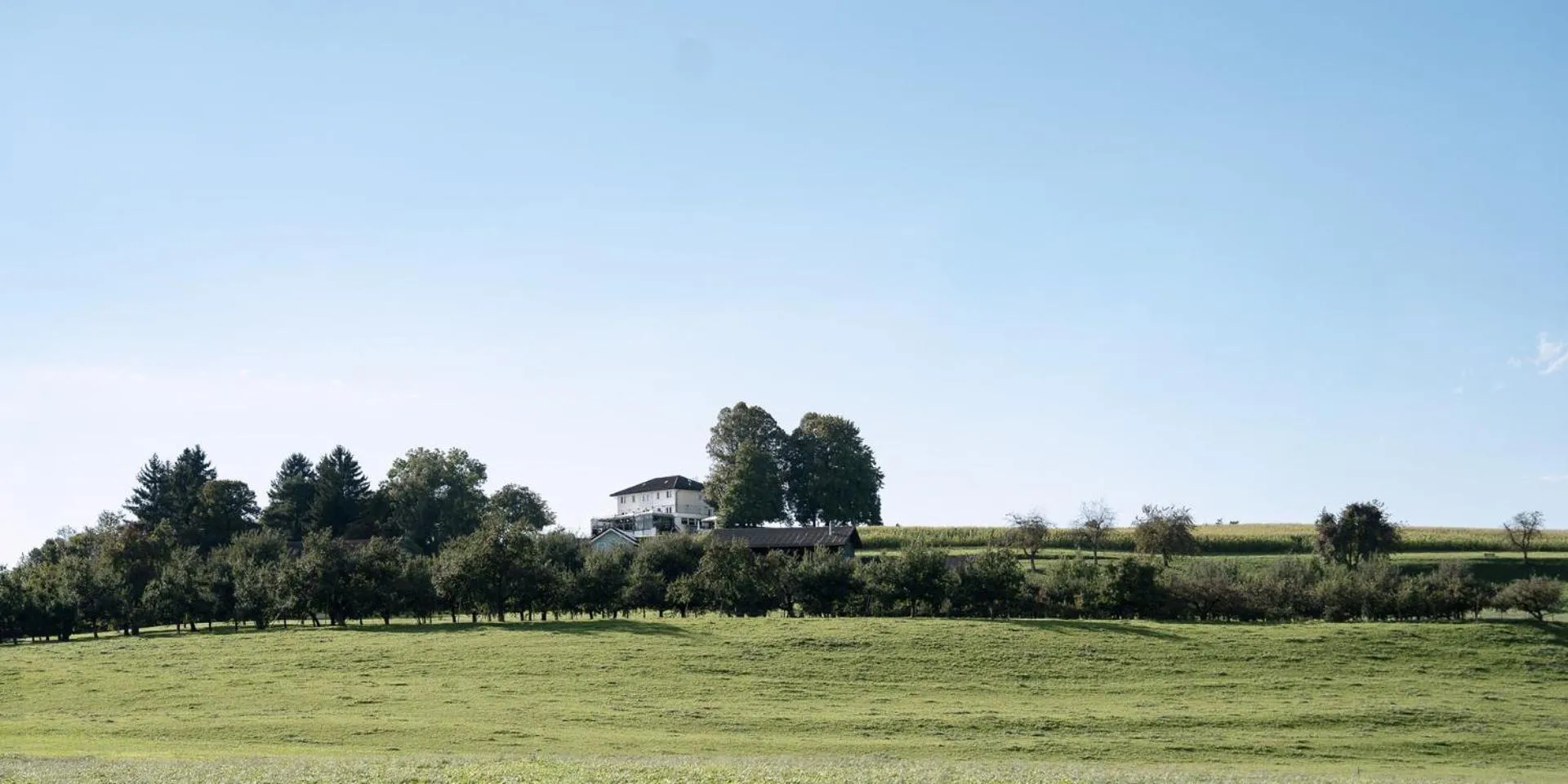 Property building in Hotel & Restaurant Nollen