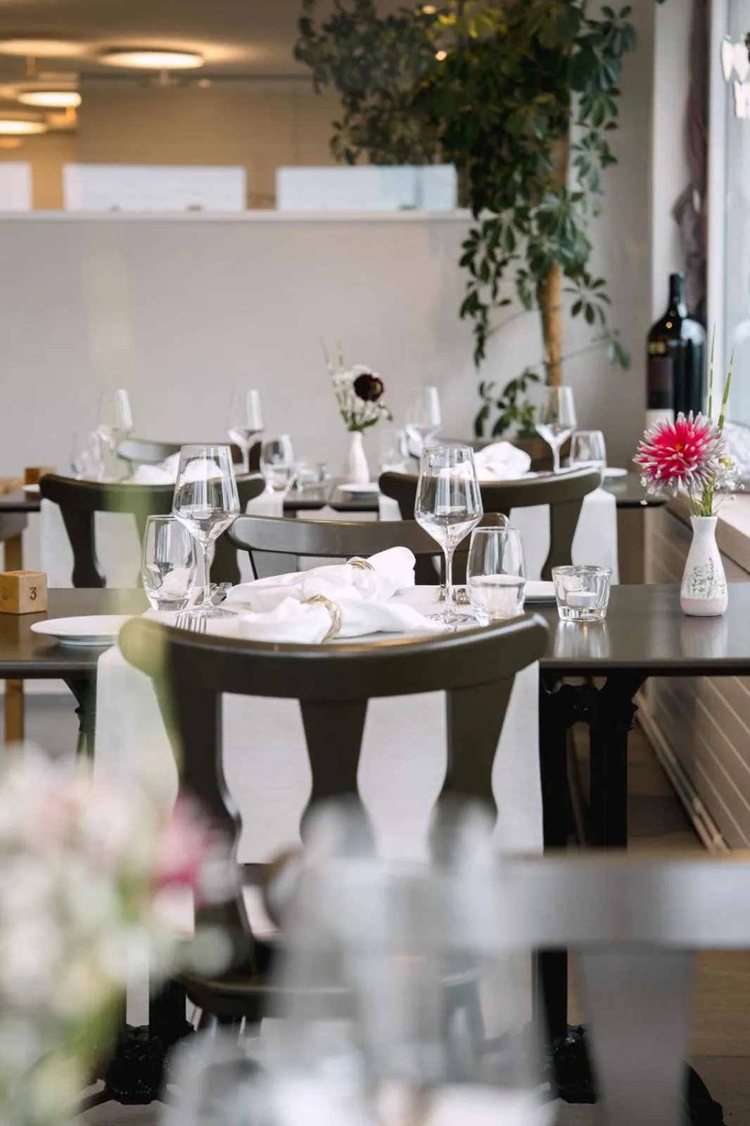 Restaurant/places to eat in Hotel & Restaurant Nollen