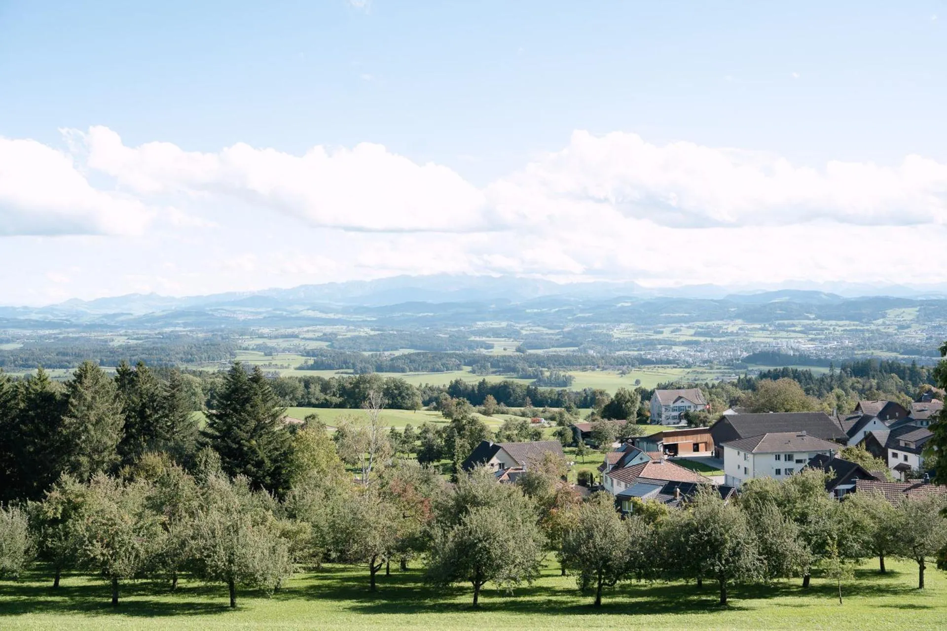 Natural landscape in Hotel & Restaurant Nollen