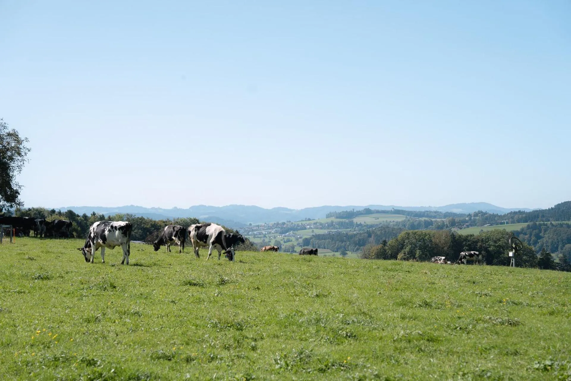 View (from property/room) in Hotel & Restaurant Nollen