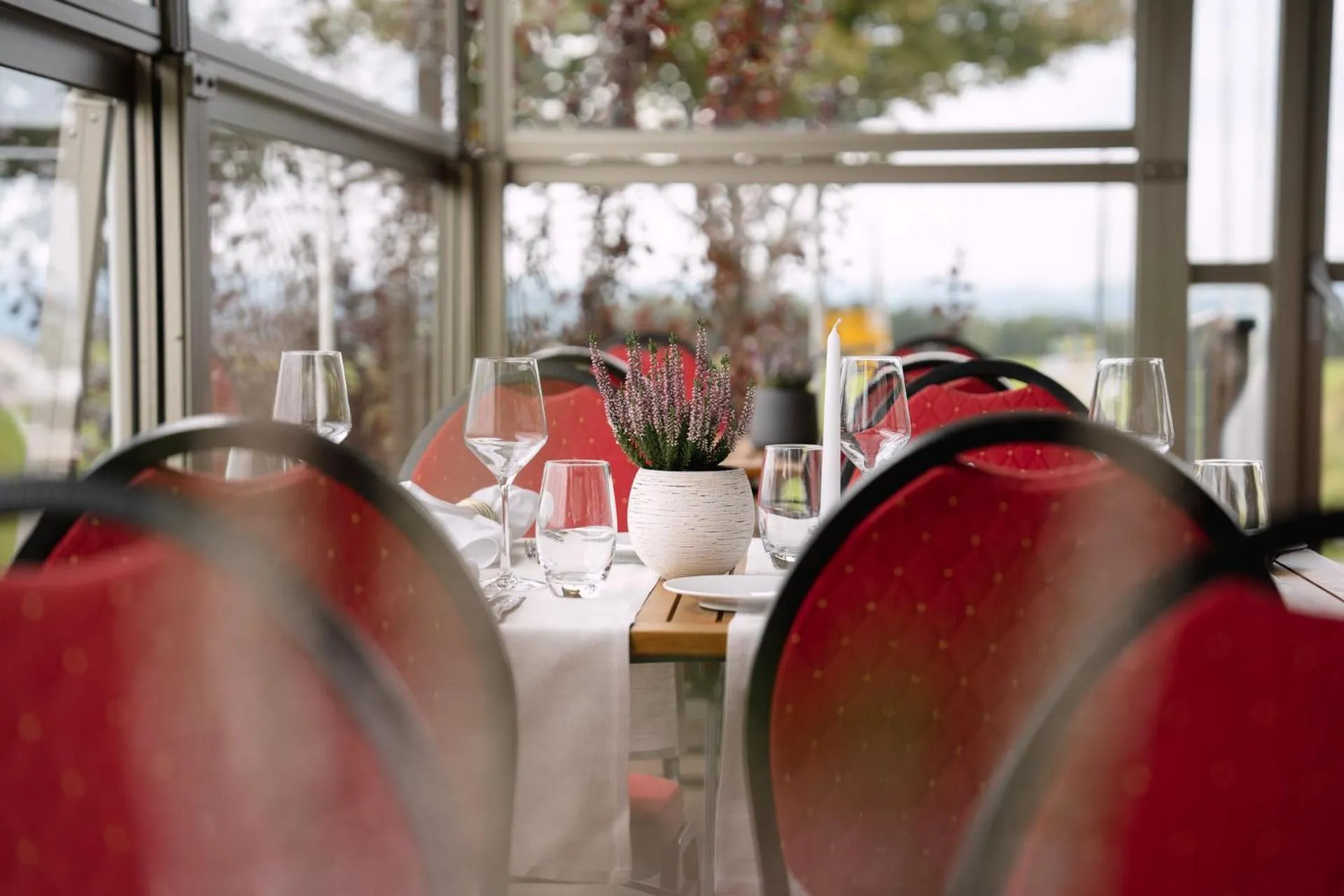 Restaurant/places to eat in Hotel & Restaurant Nollen