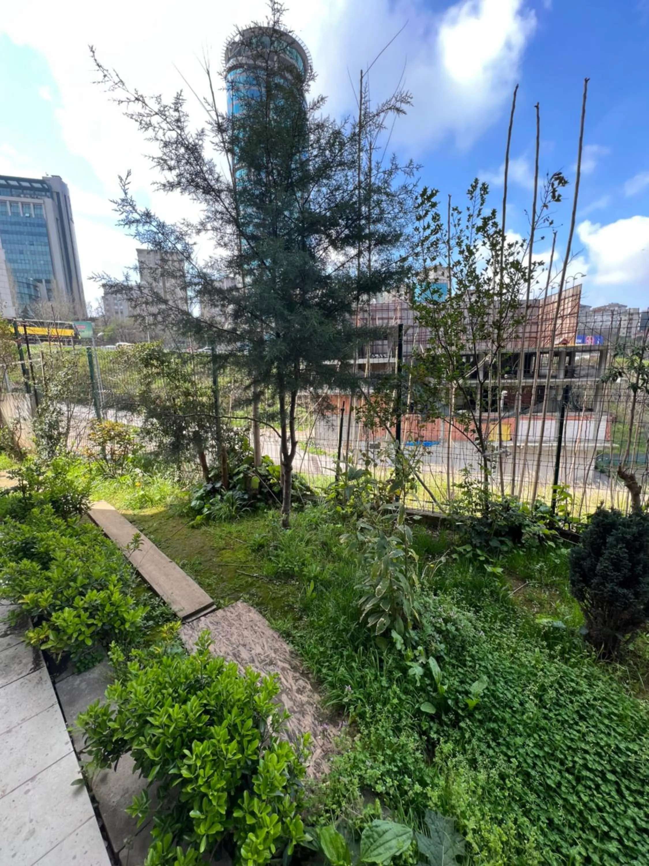 Natural landscape in NEAR SUITES