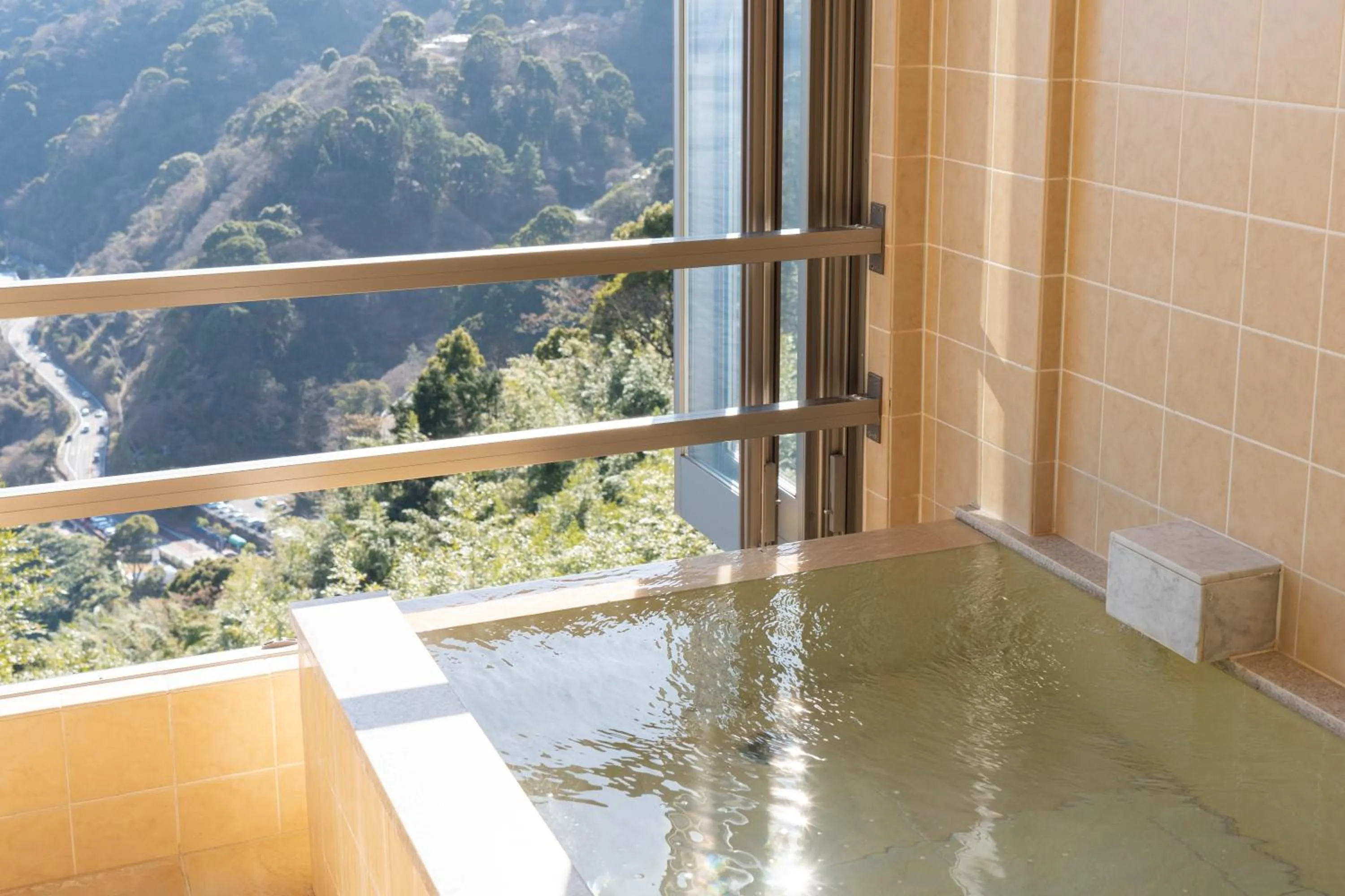 Atami-view Resort