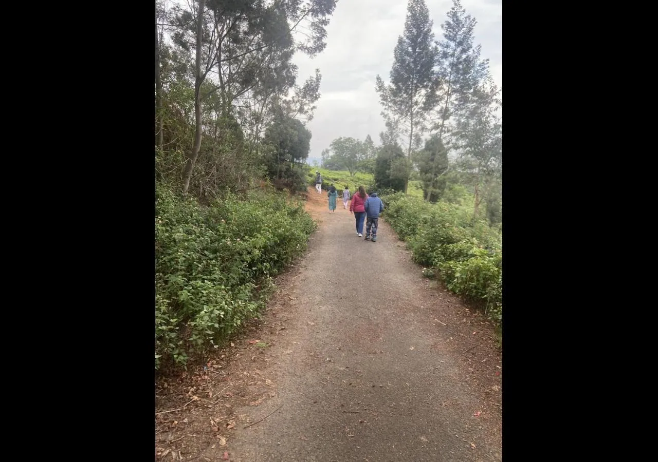 Hiking in Sleeping Beauty by Nature Resorts and Stays