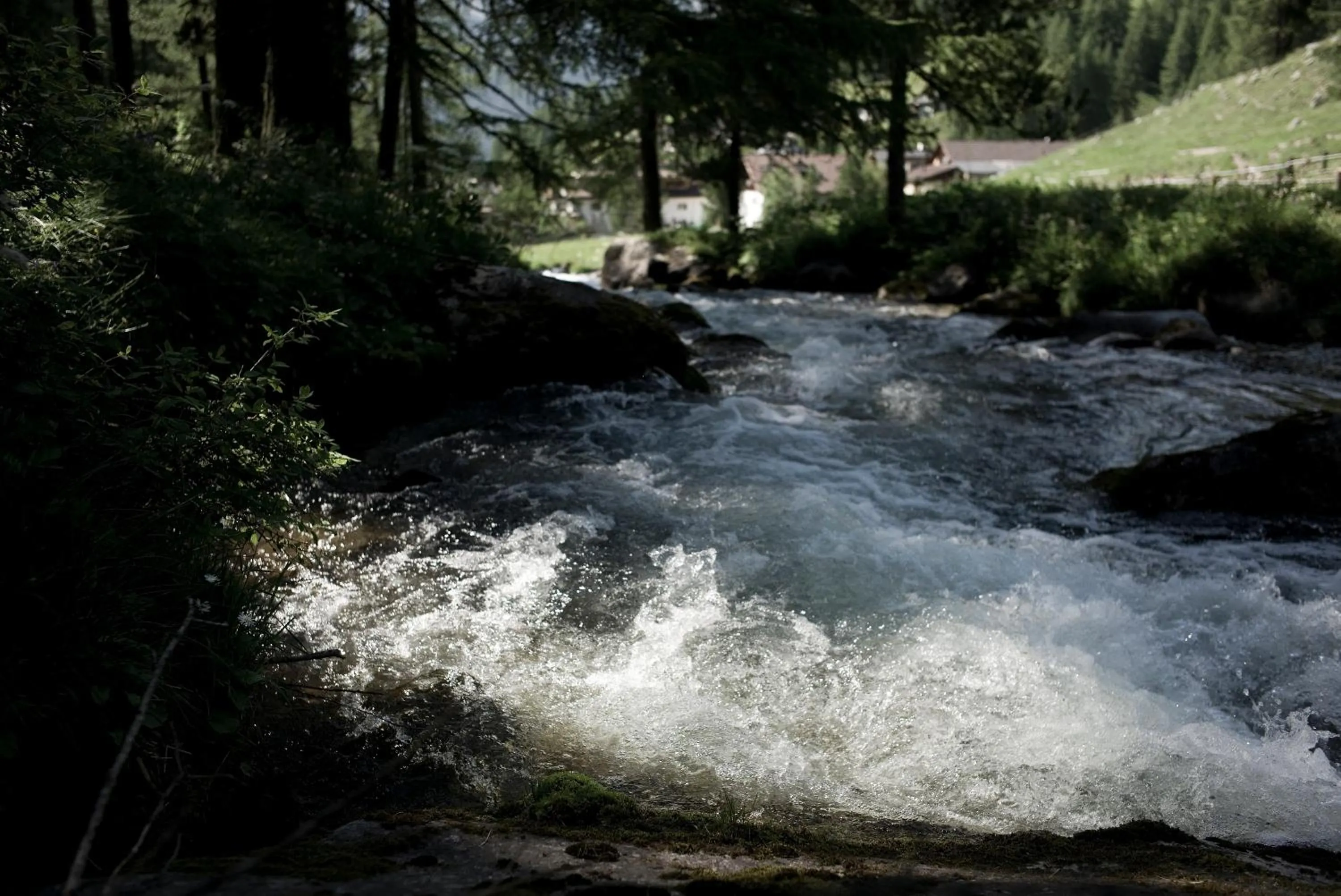 Natural landscape in Alpengasthof Crusch Alba ed Alvetern, S-charl
