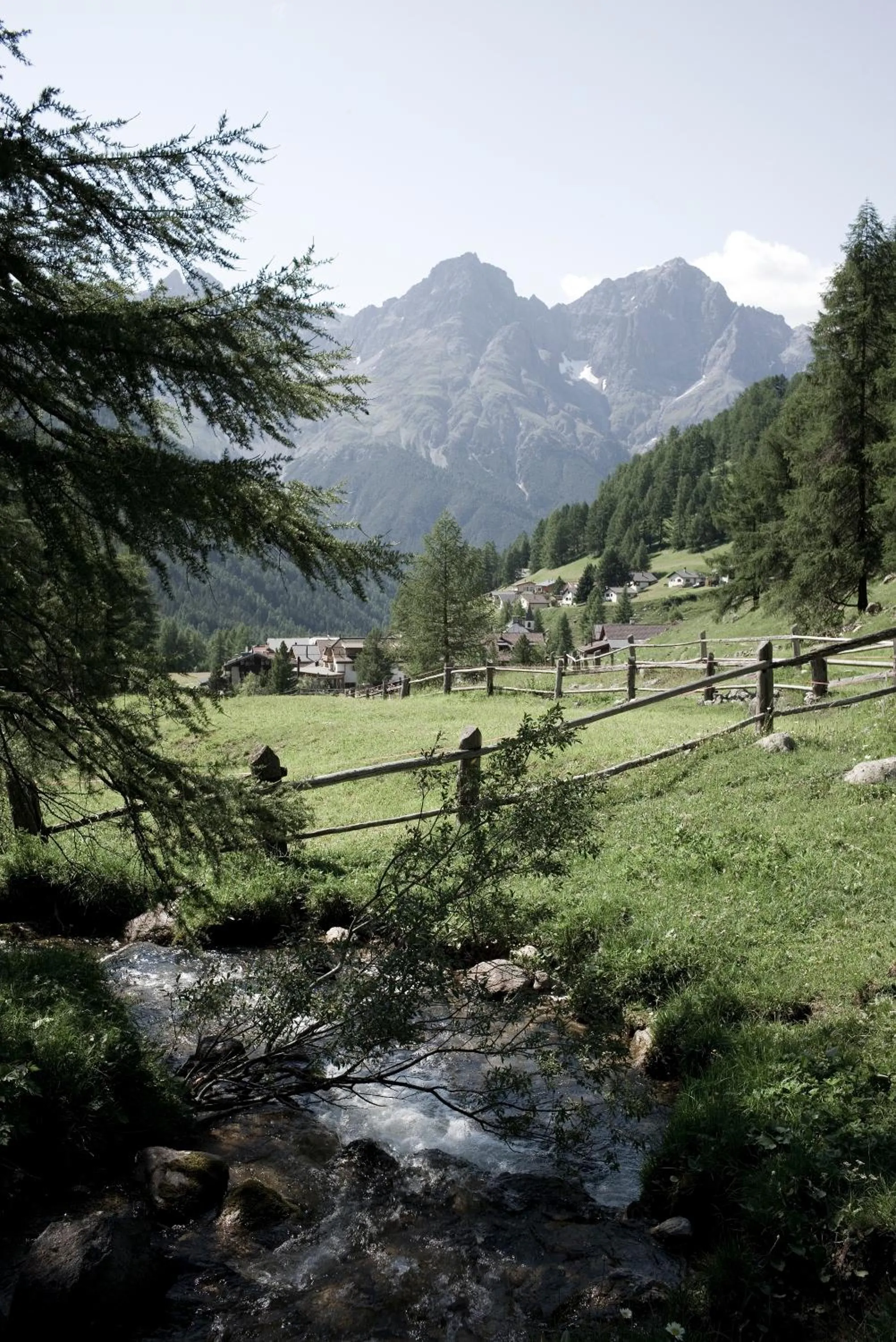 Natural landscape in Alpengasthof Crusch Alba ed Alvetern, S-charl