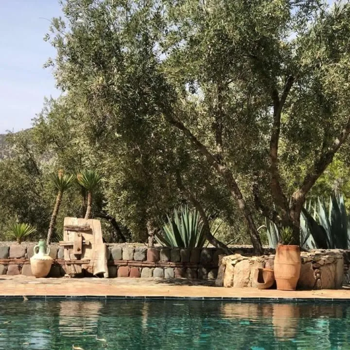 Sel d Ailleurs, Ouirgan - adults only