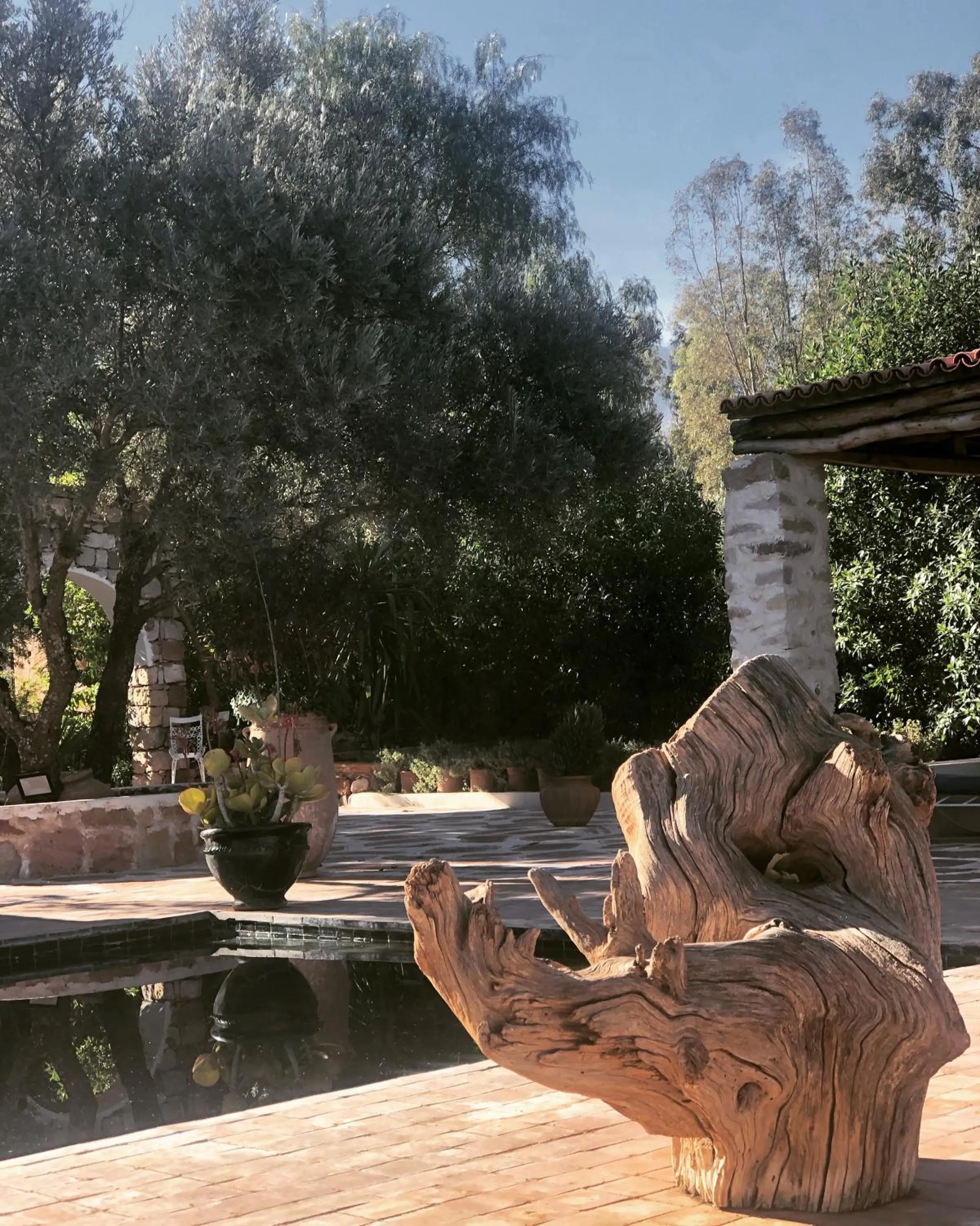 Sel d Ailleurs, Ouirgan - adults only