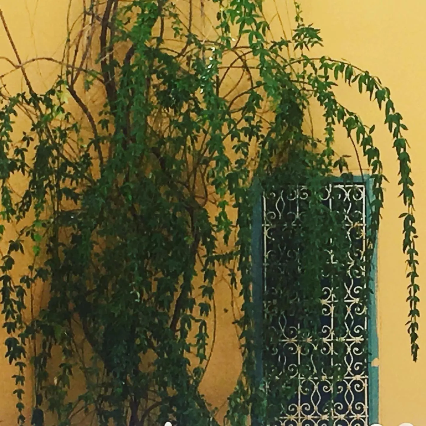 Sel d Ailleurs, Ouirgan - adults only