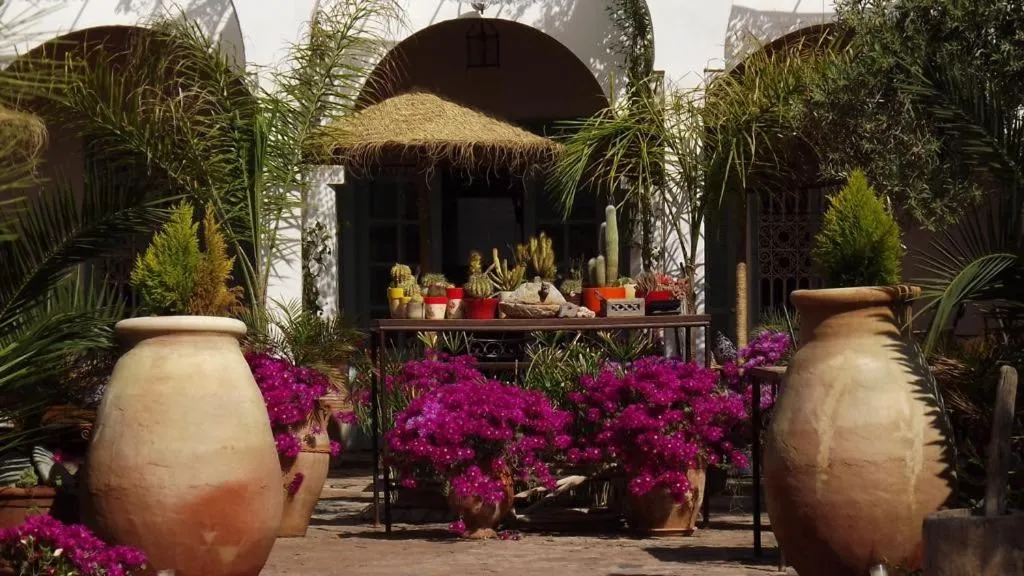 Sel d Ailleurs, Ouirgan - adults only