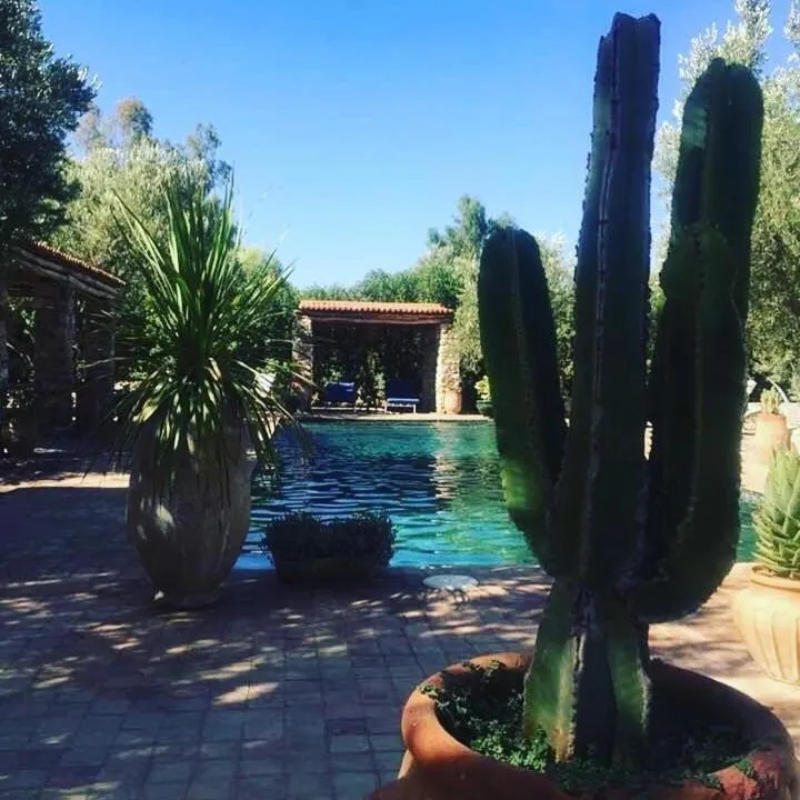 Sel d Ailleurs, Ouirgan - adults only