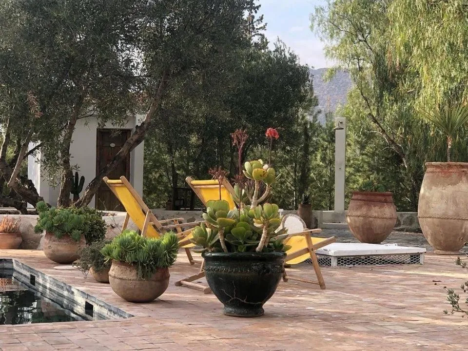 Sel d Ailleurs, Ouirgan - adults only