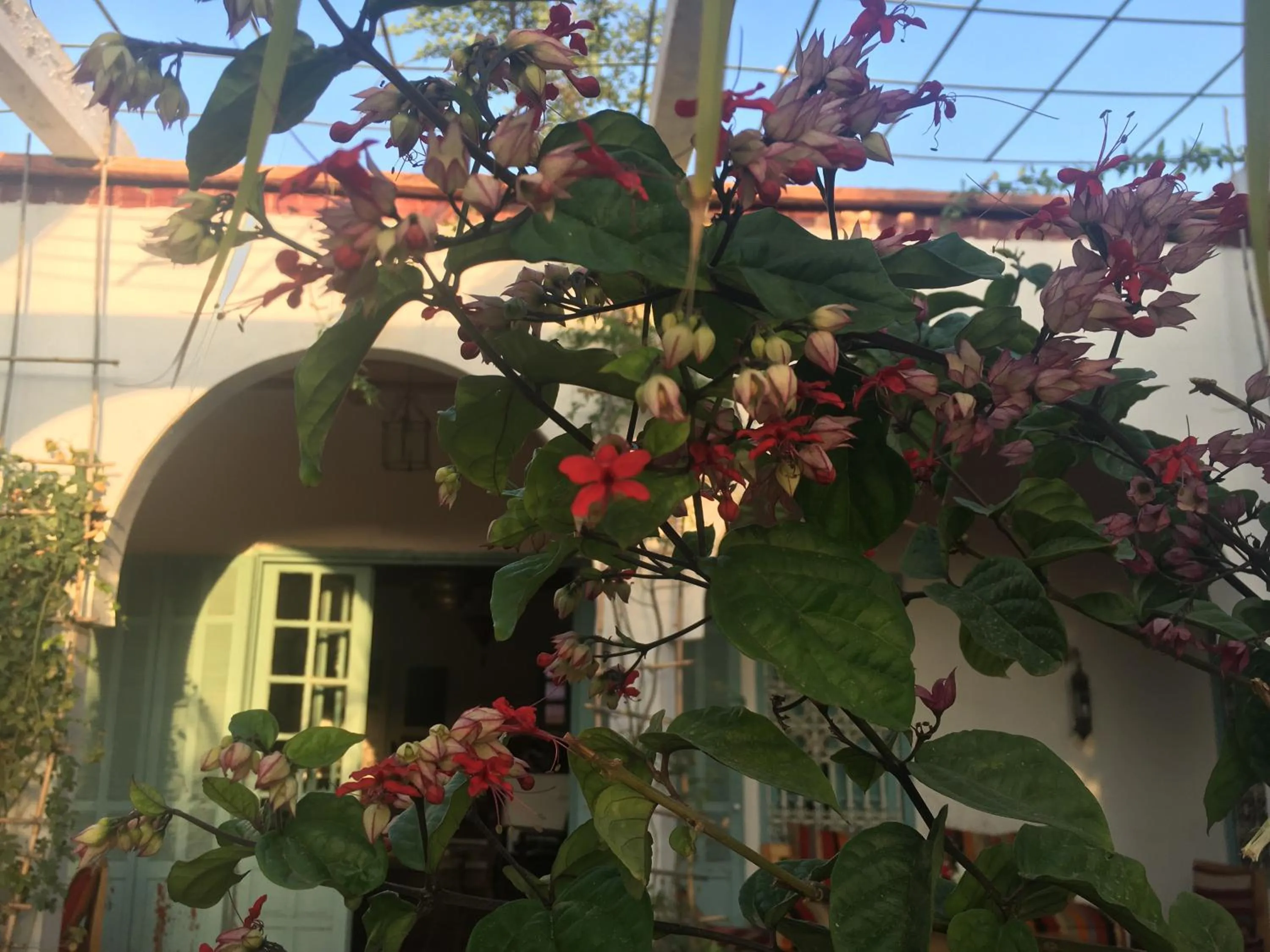 Sel d Ailleurs, Ouirgan - adults only