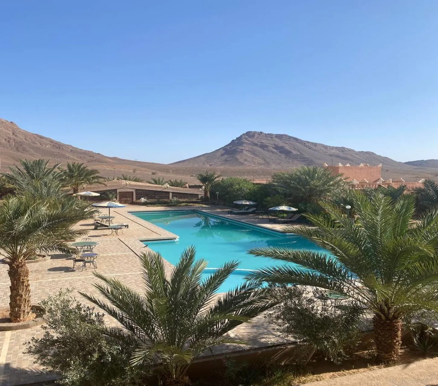 Swimming pool in La Perle Du Drâa