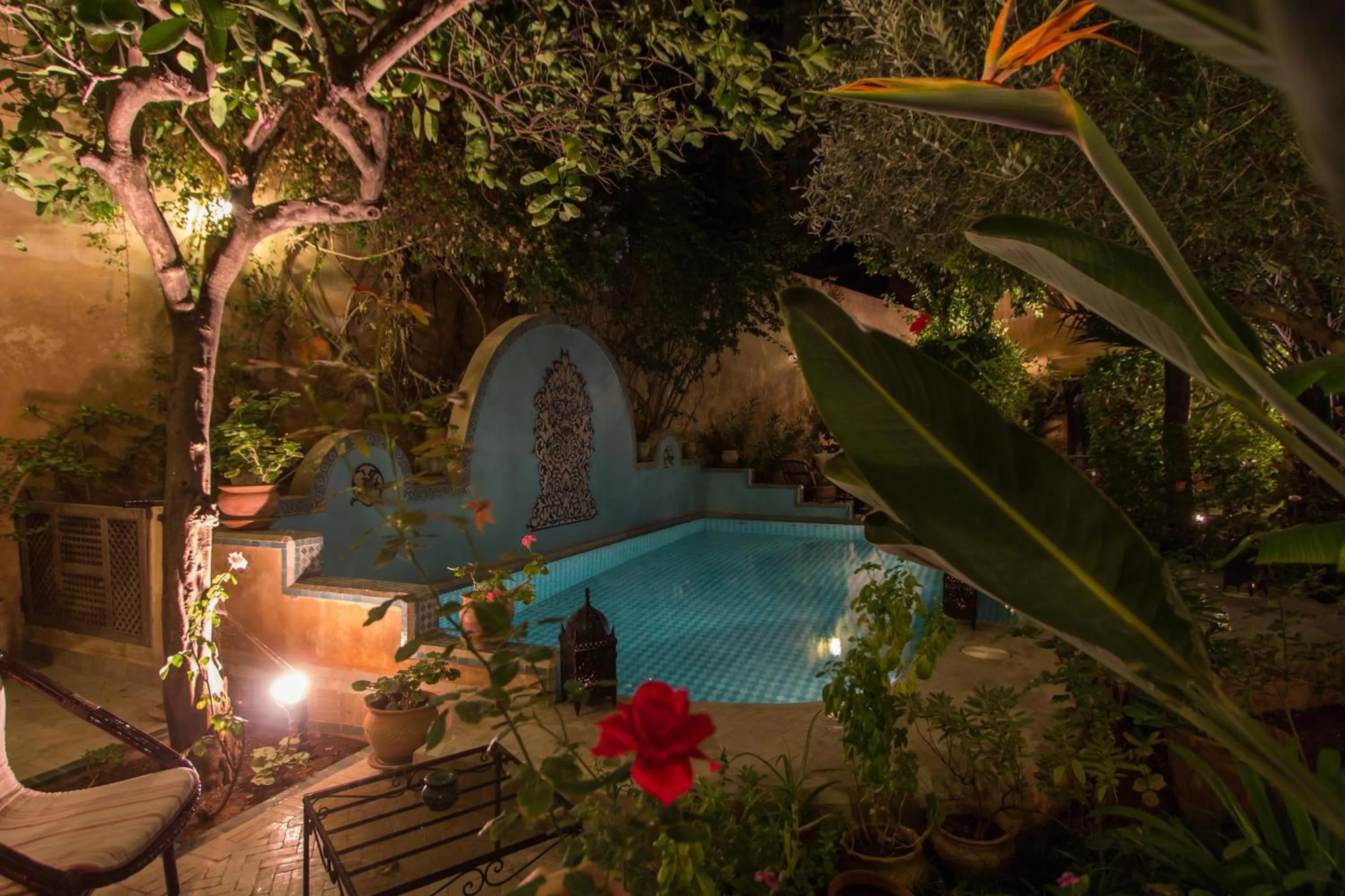 Garden in Riad Norma