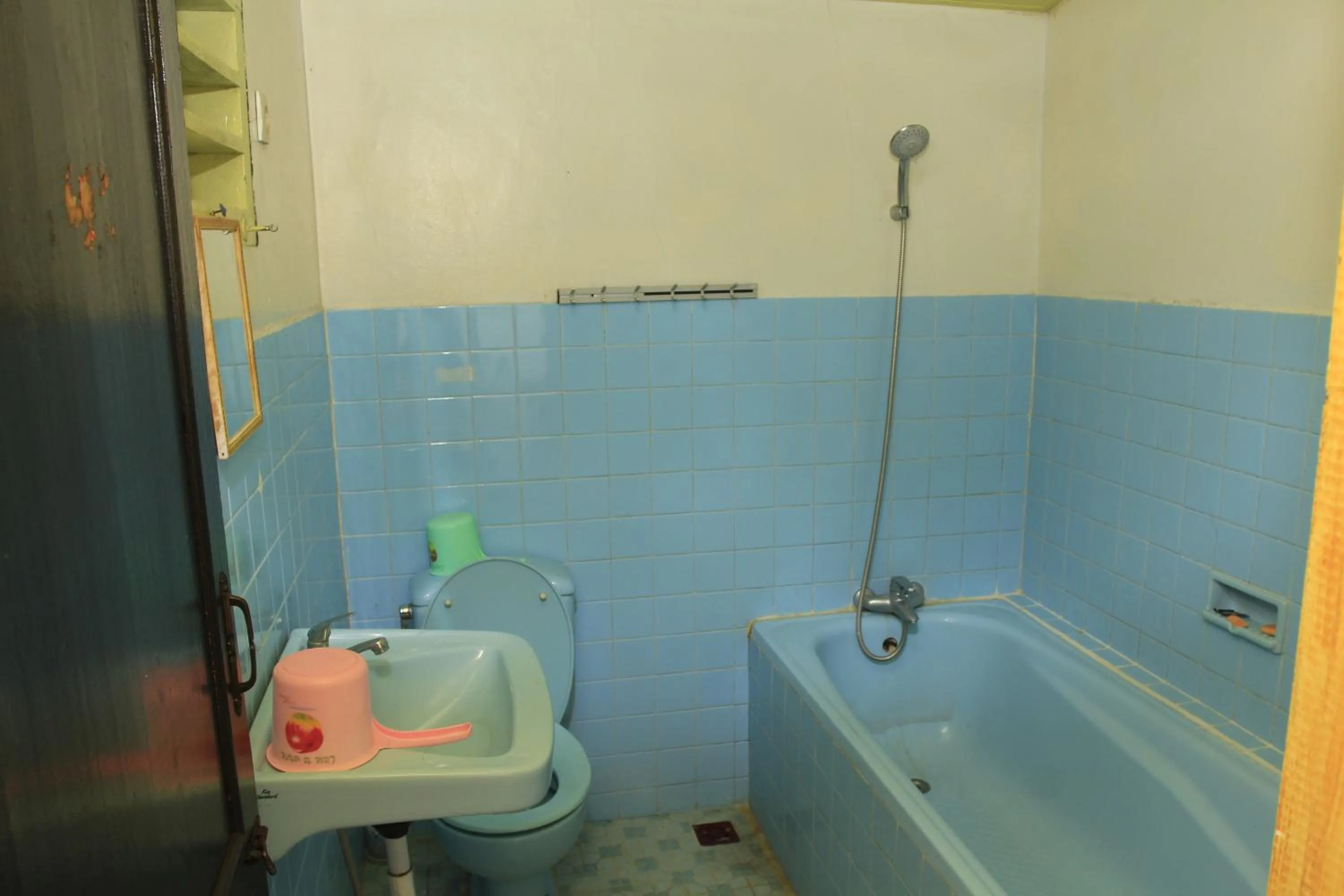 Shower in SONY COTTAGE