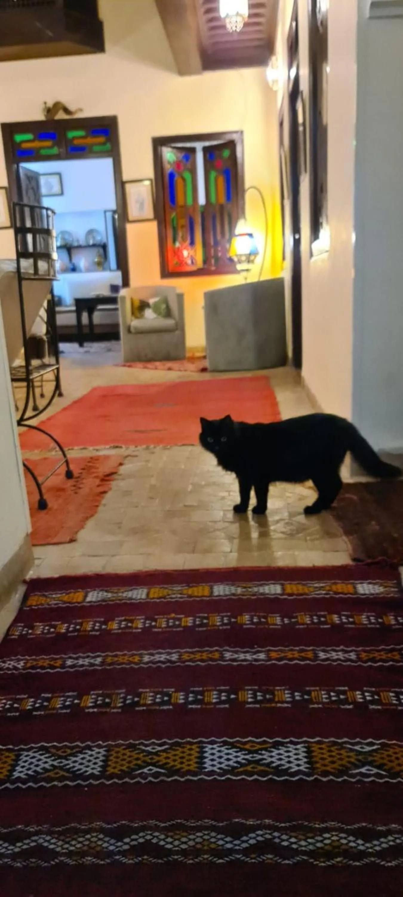 Lobby or reception in Riad Aubrac