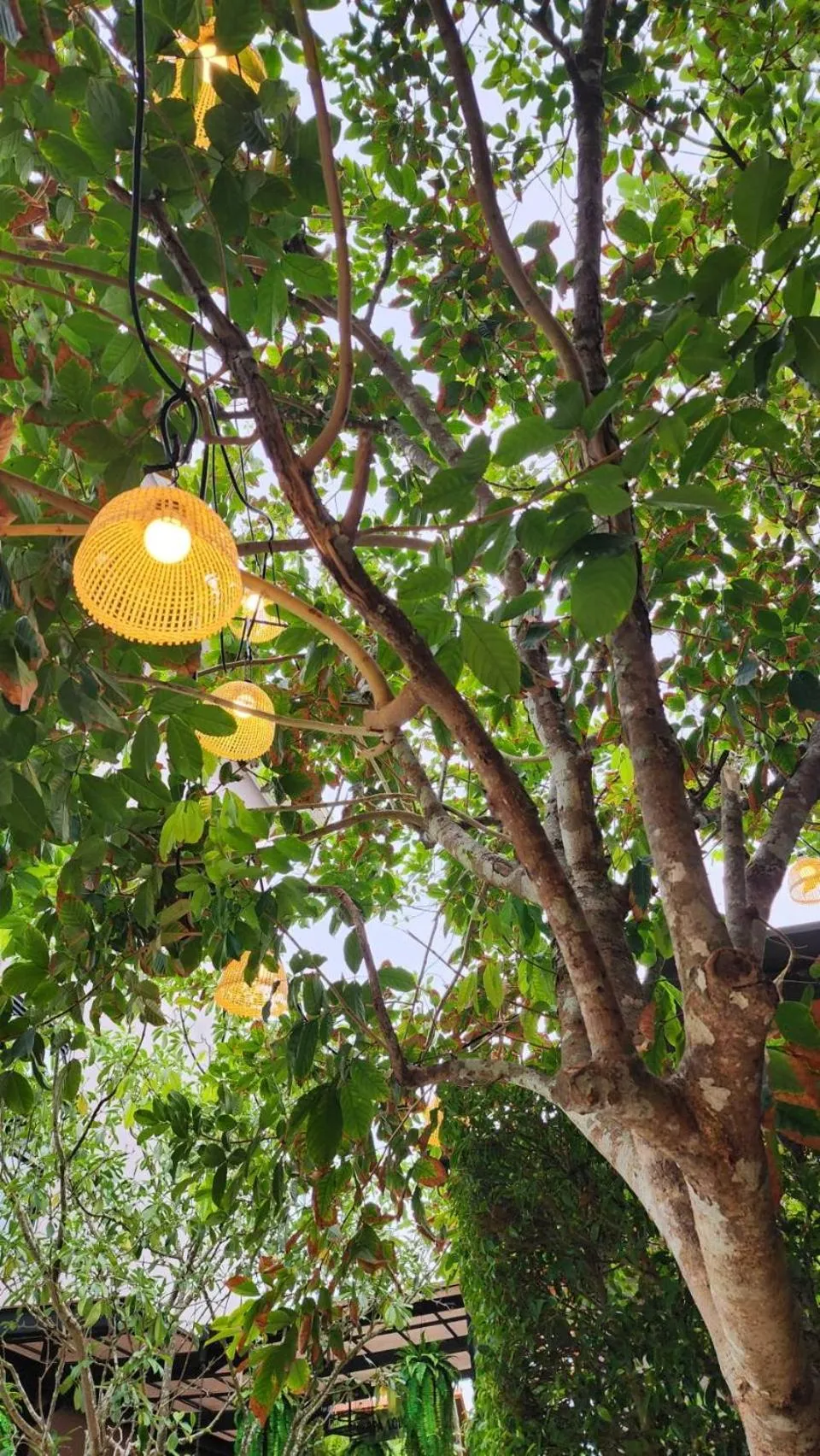 Natural landscape in Alaita Boutique Phuket