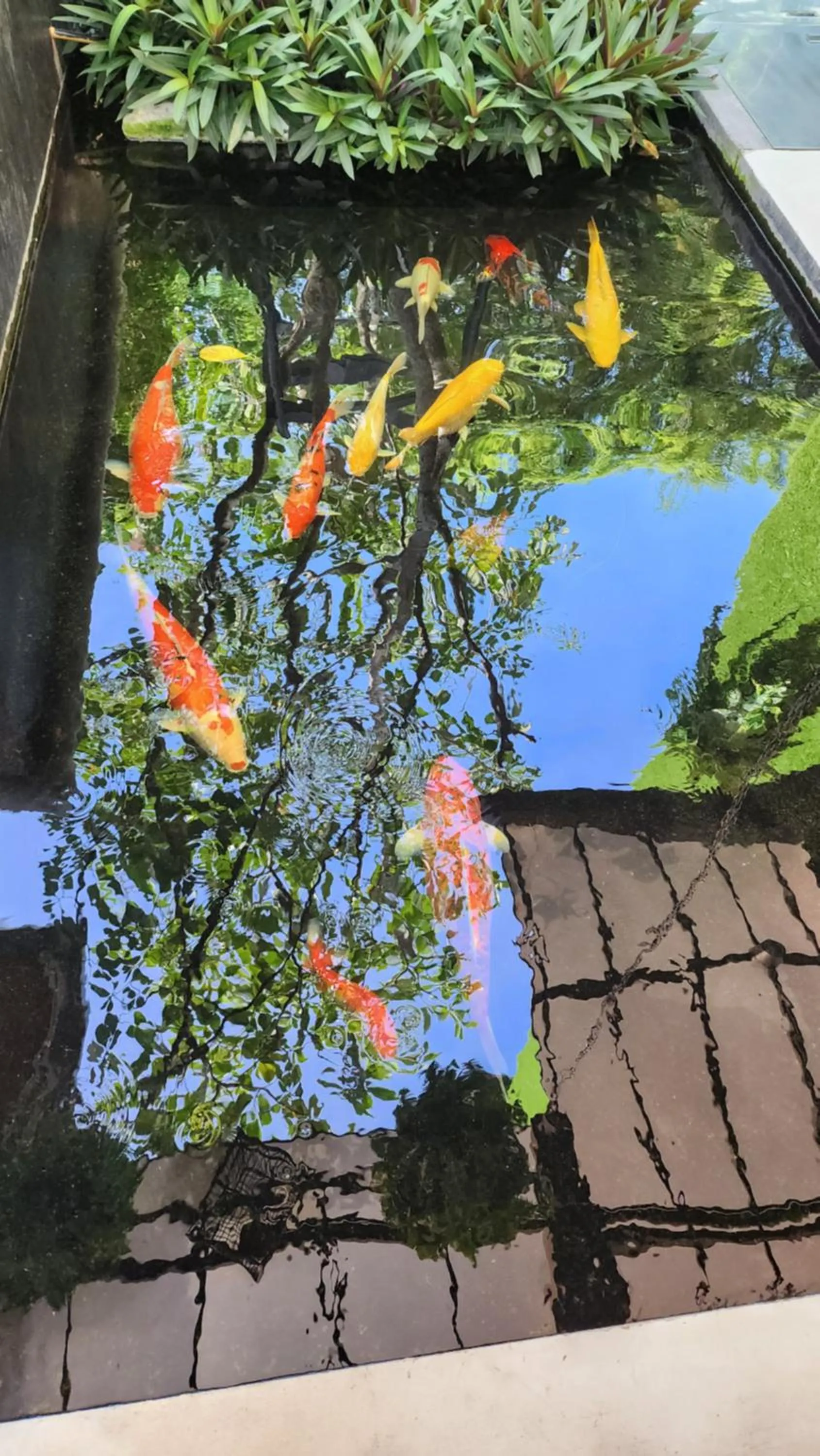 Day in Alaita Boutique Phuket