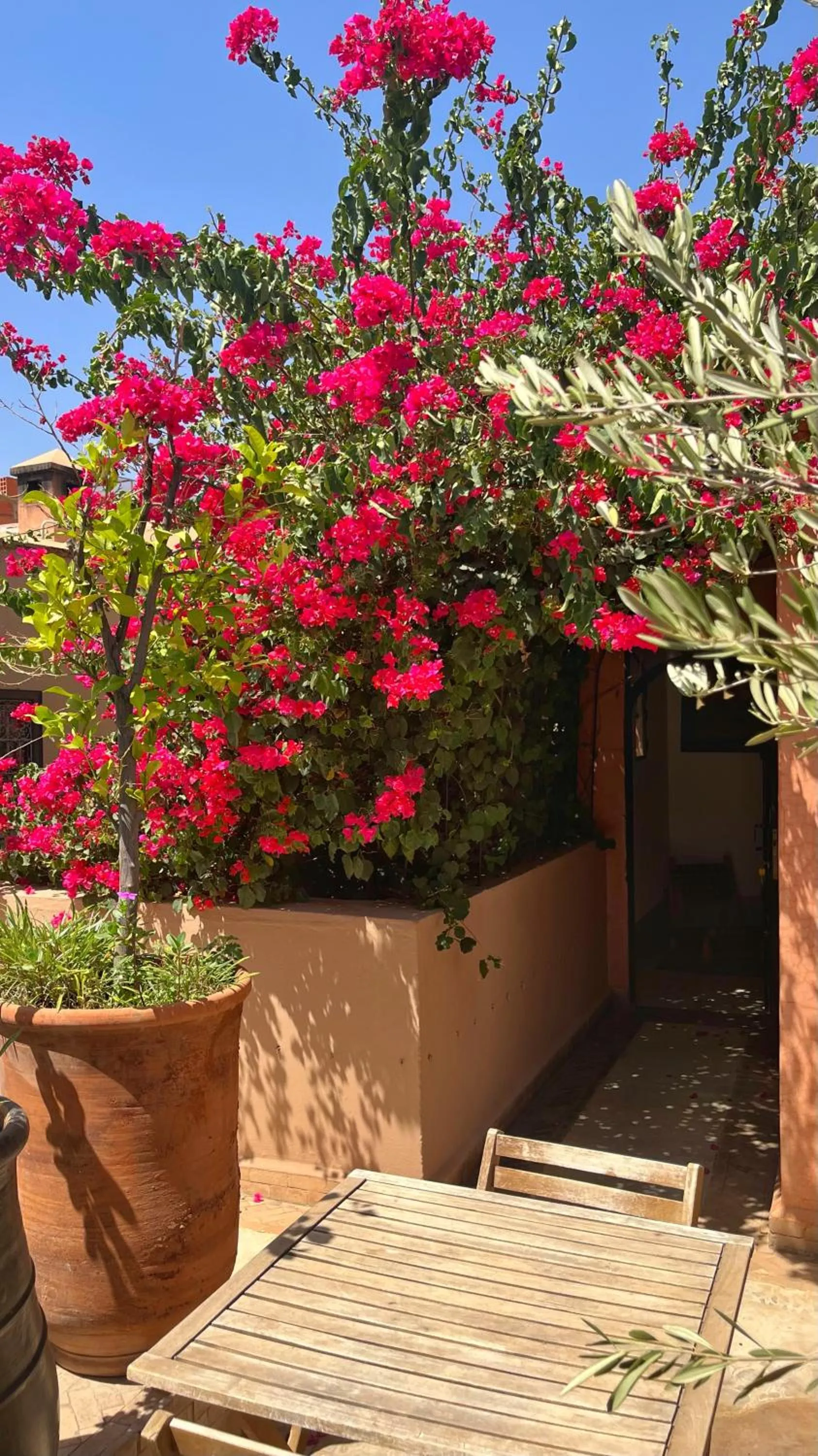Balcony/Terrace in Riad Dar Zaman