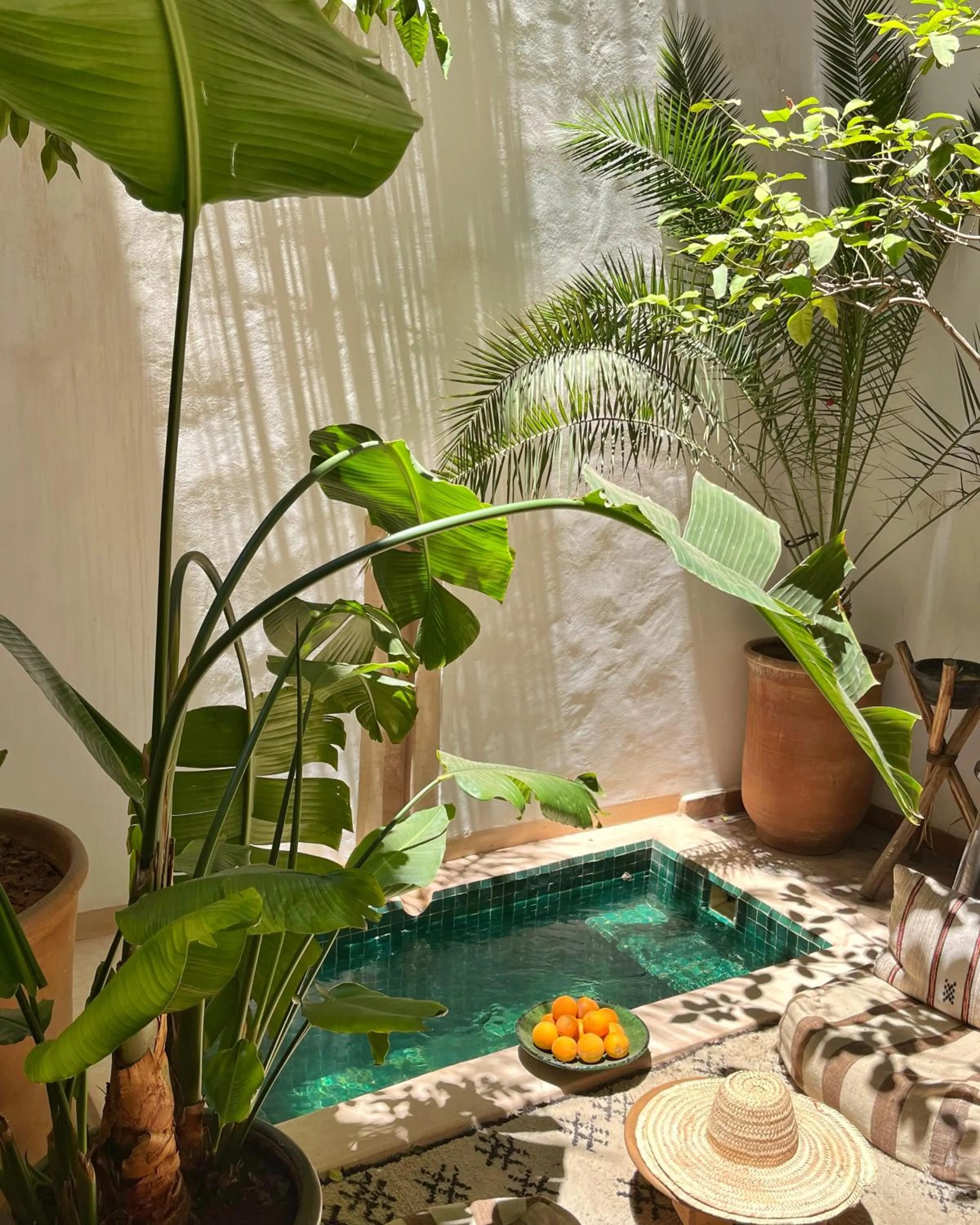 Garden in Riad Dar Zaman