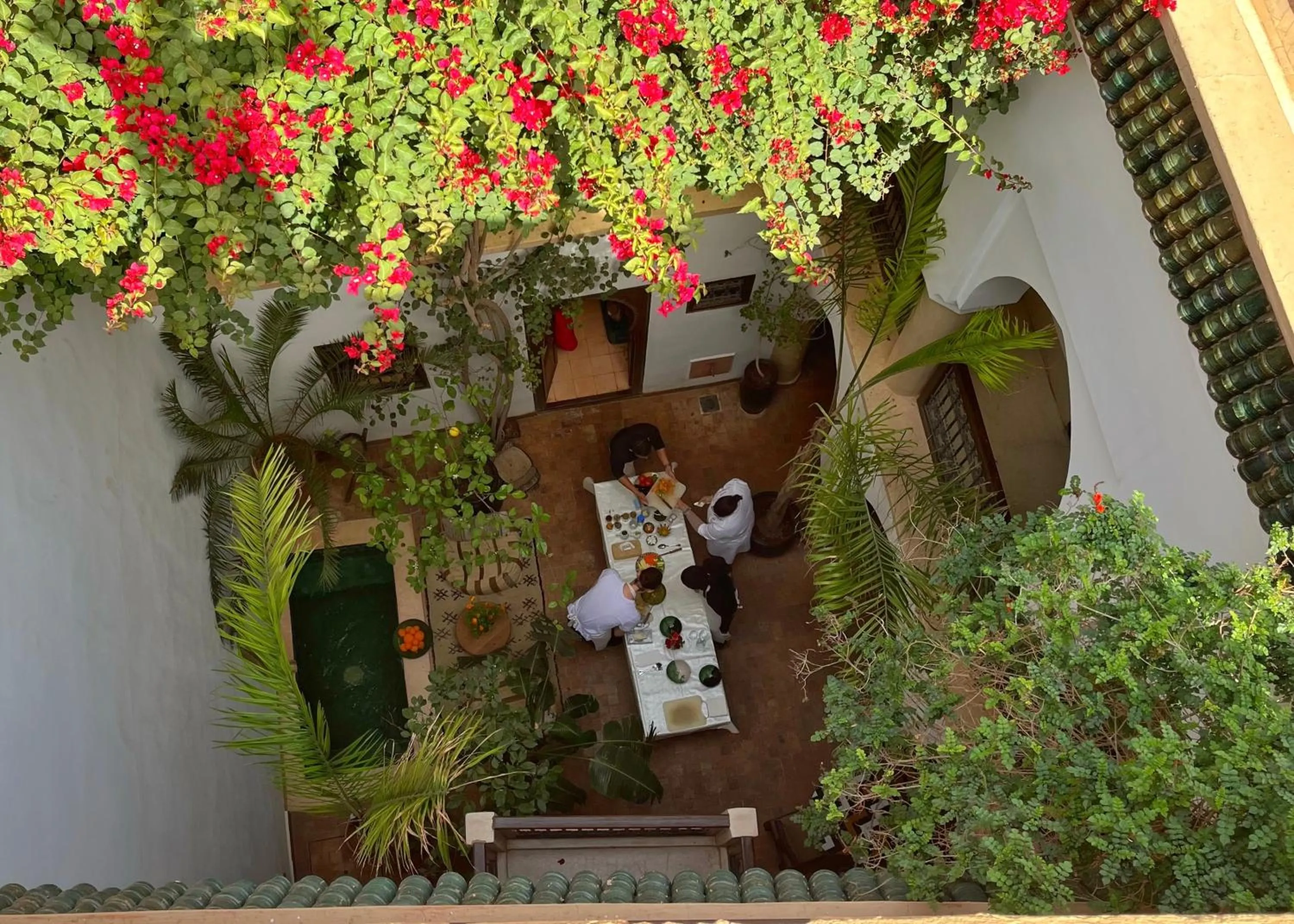 Garden in Riad Dar Zaman