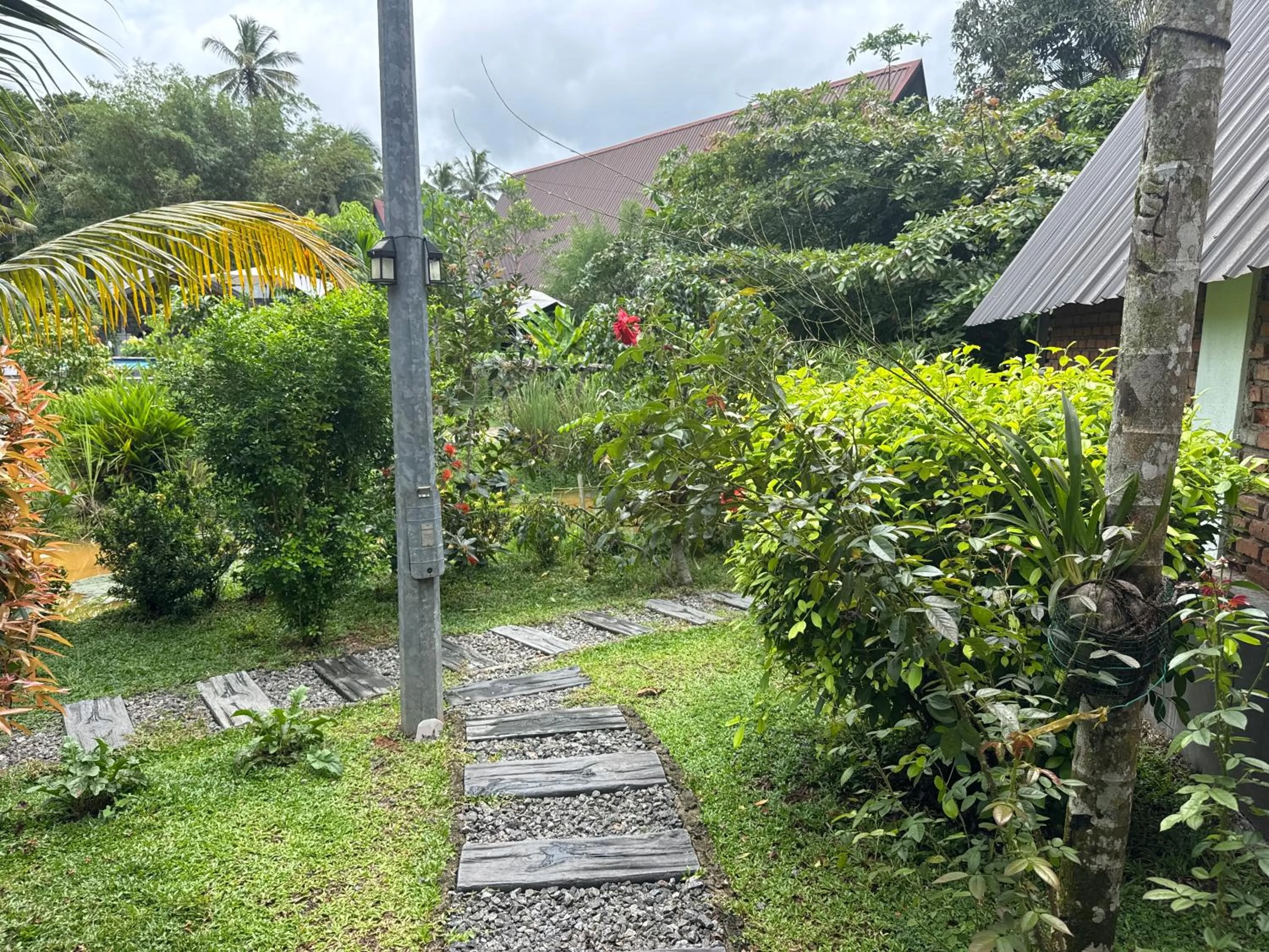 Garden view in Steps Garden Resort